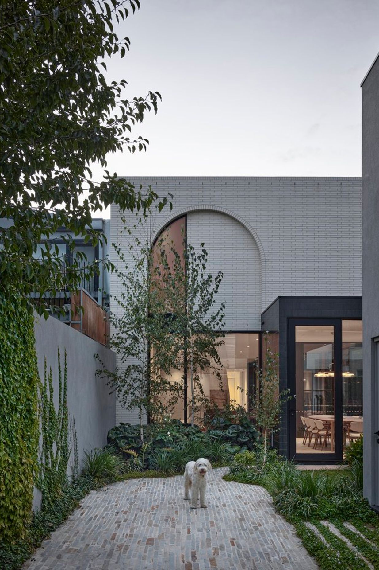 Betula Garden