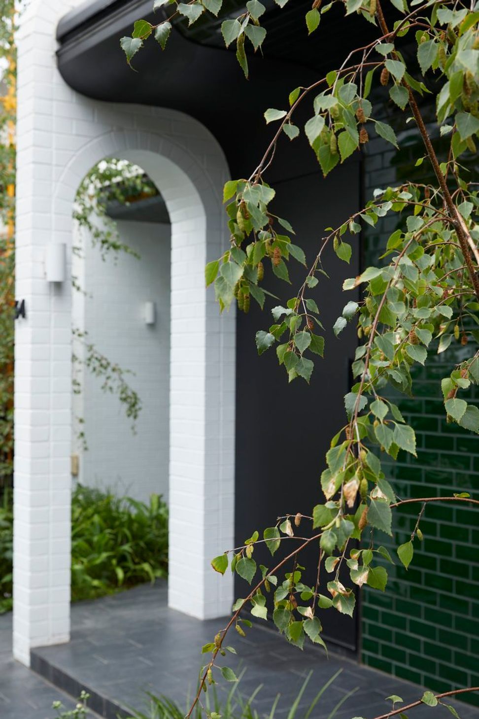 Betula Garden