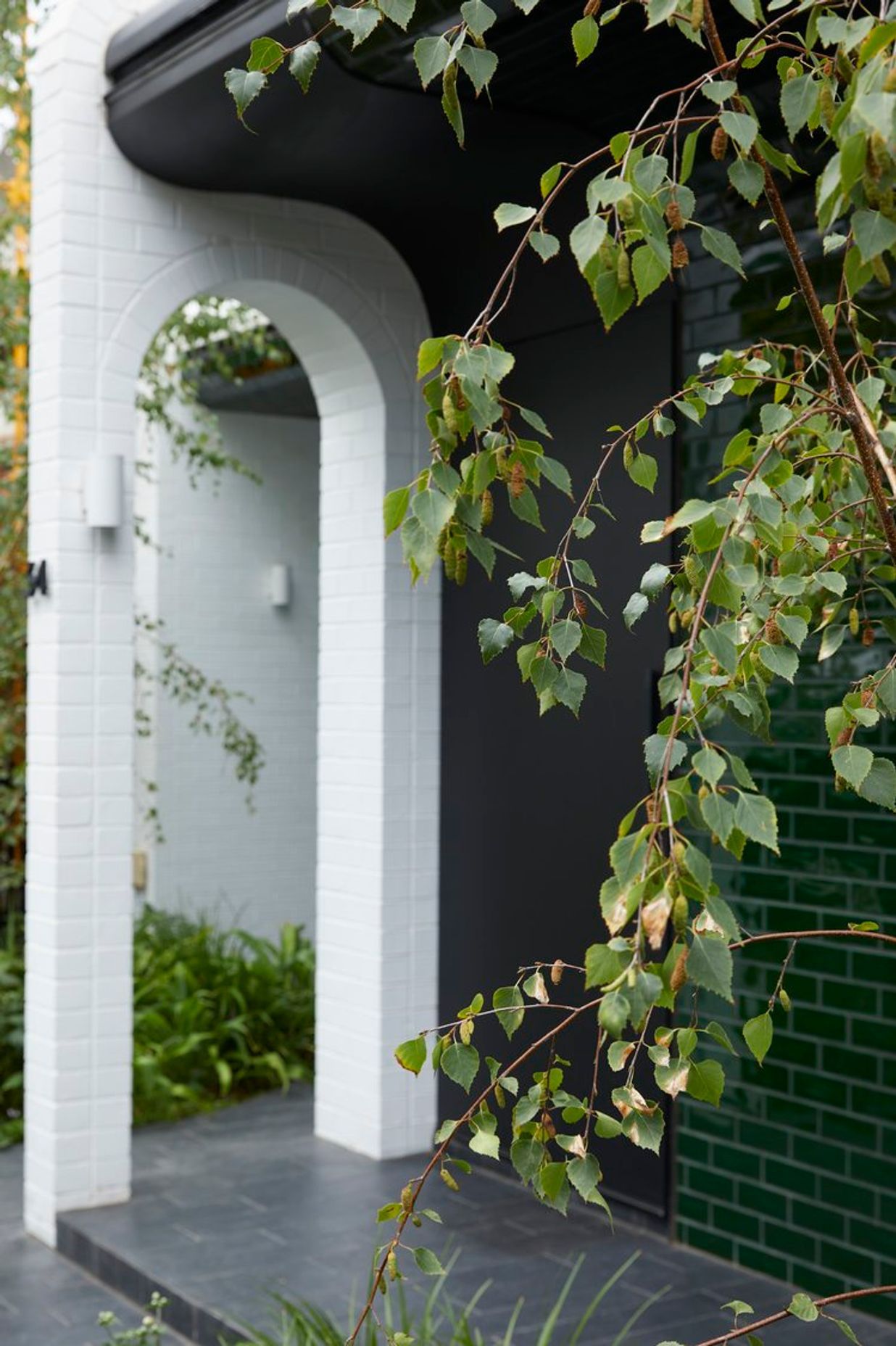Betula Garden