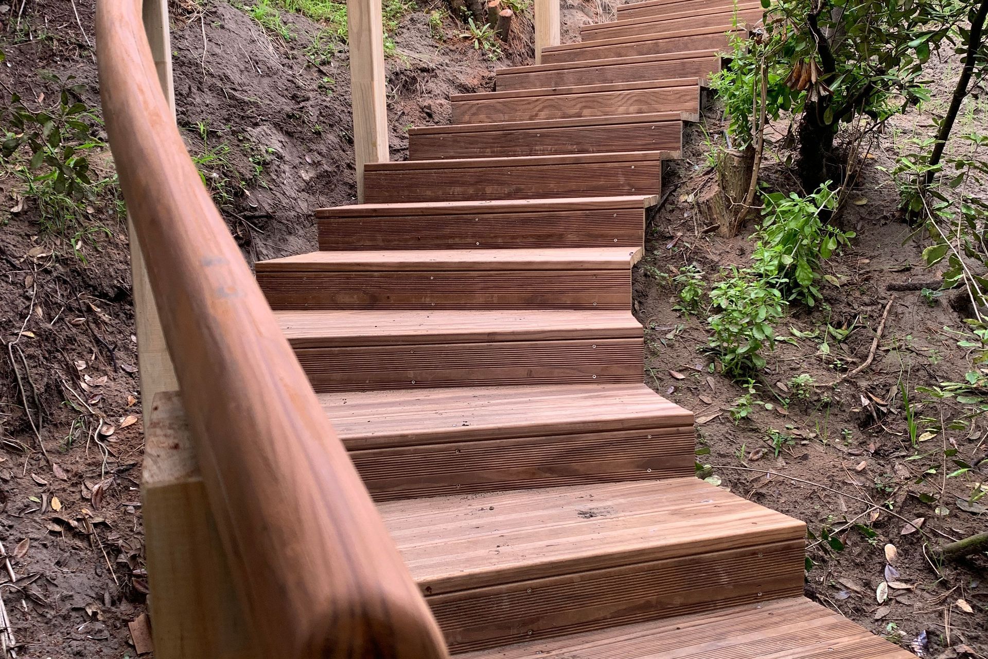 Raumati Beach - Curved Steps