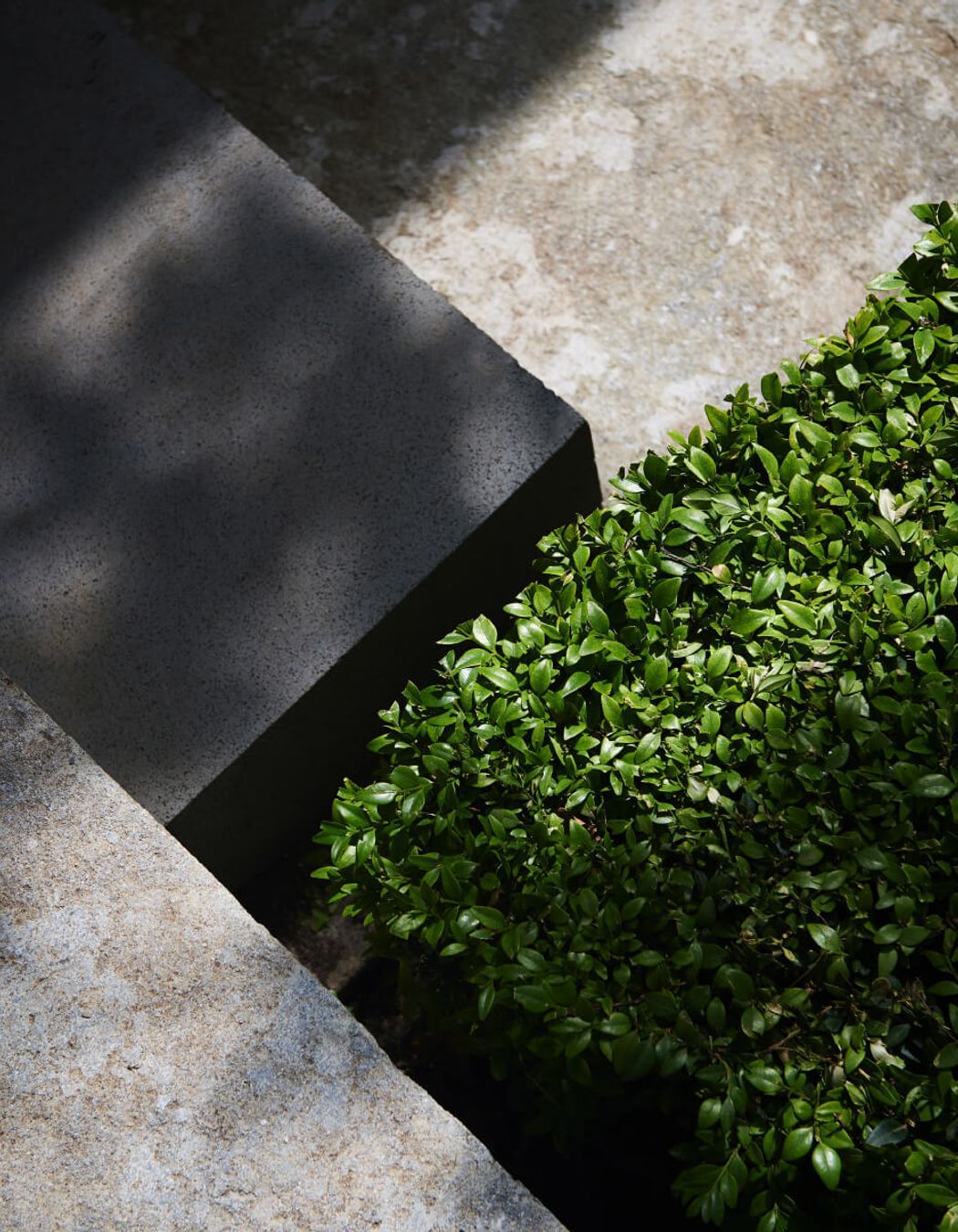 Darriwill – Western District