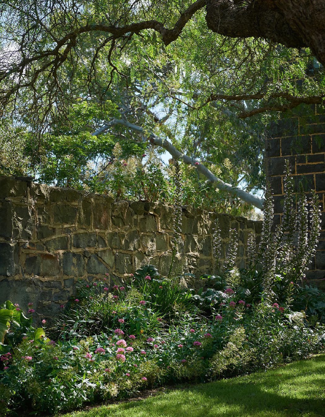 Darriwill – Western District