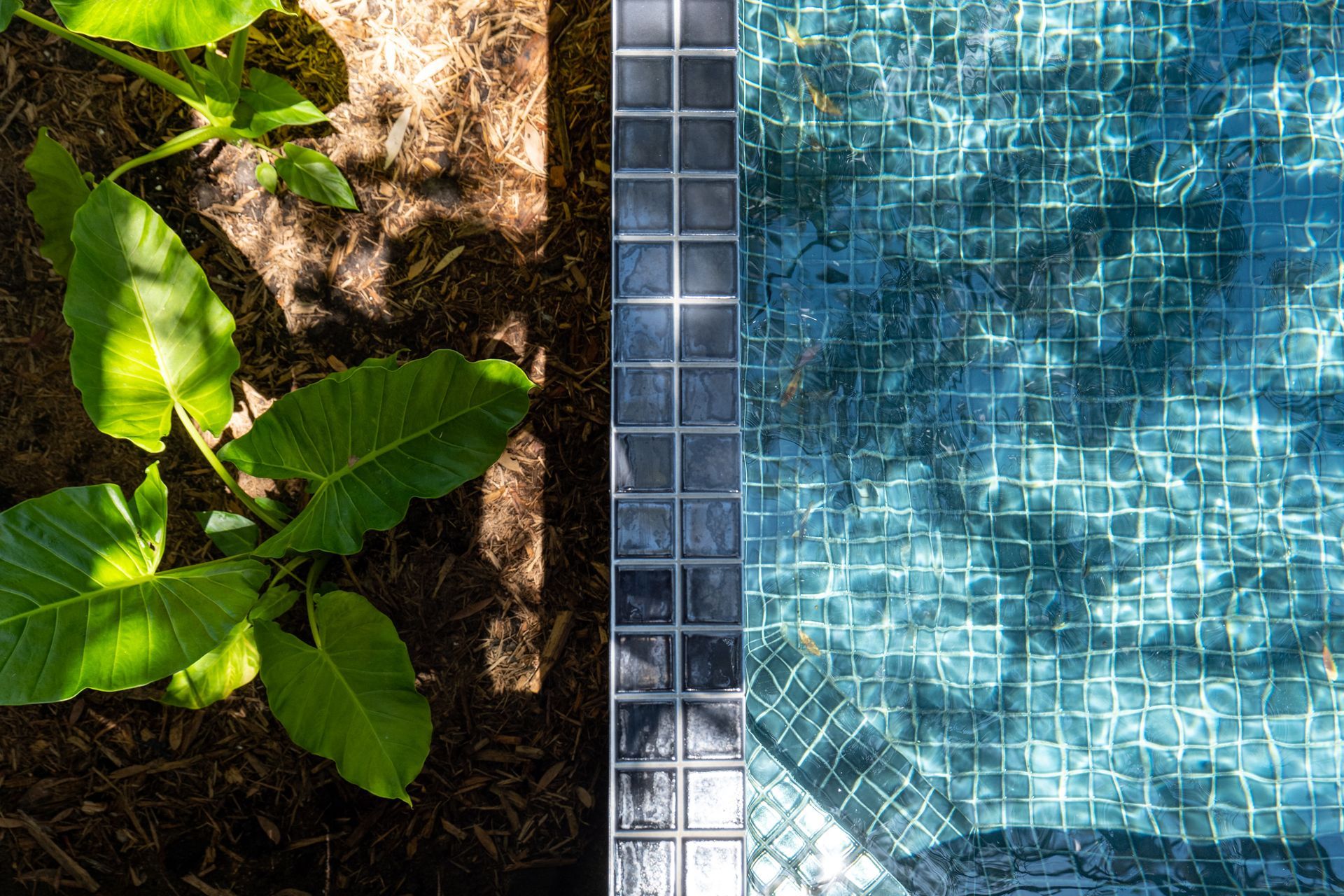 Currimundi Lake House