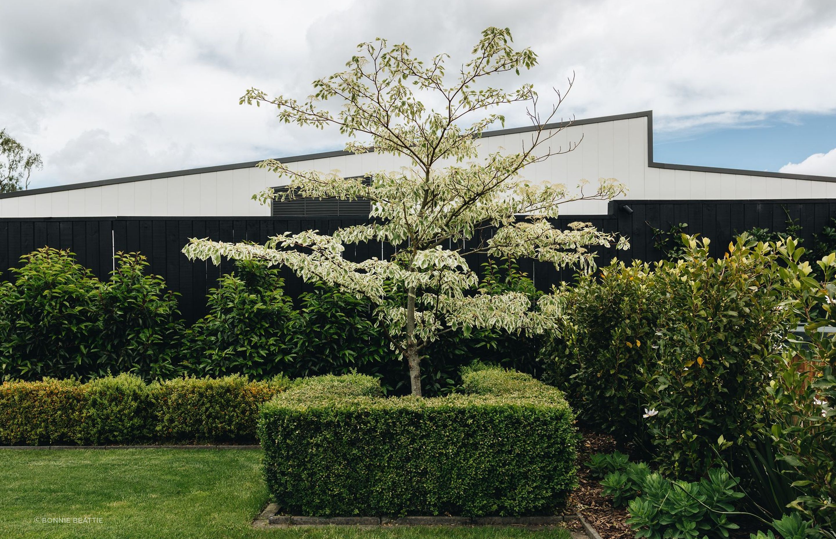 Lower Hutt Garden