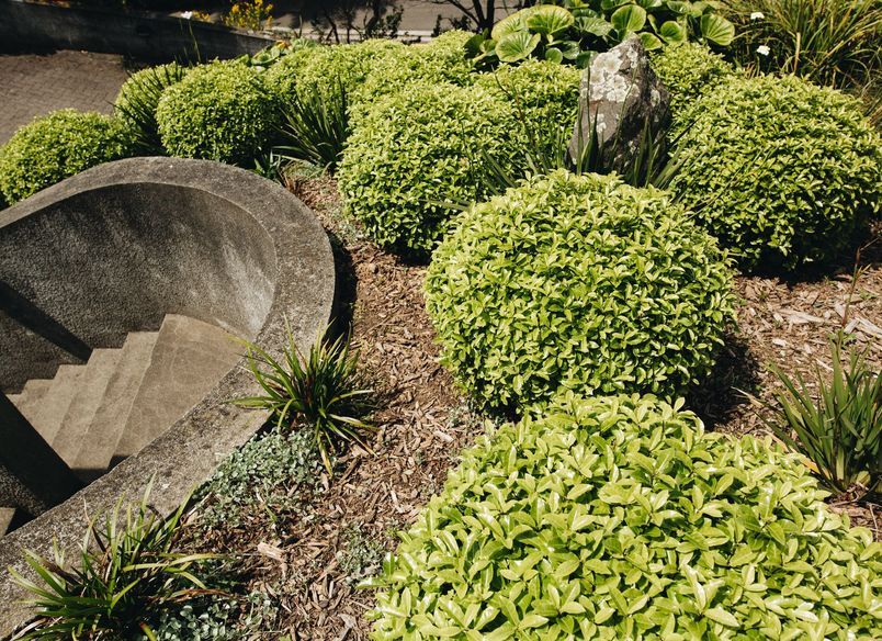 Wellington Hillside Garden