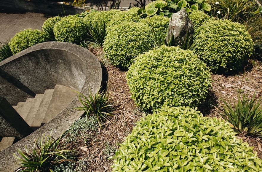 Wellington Hillside Garden