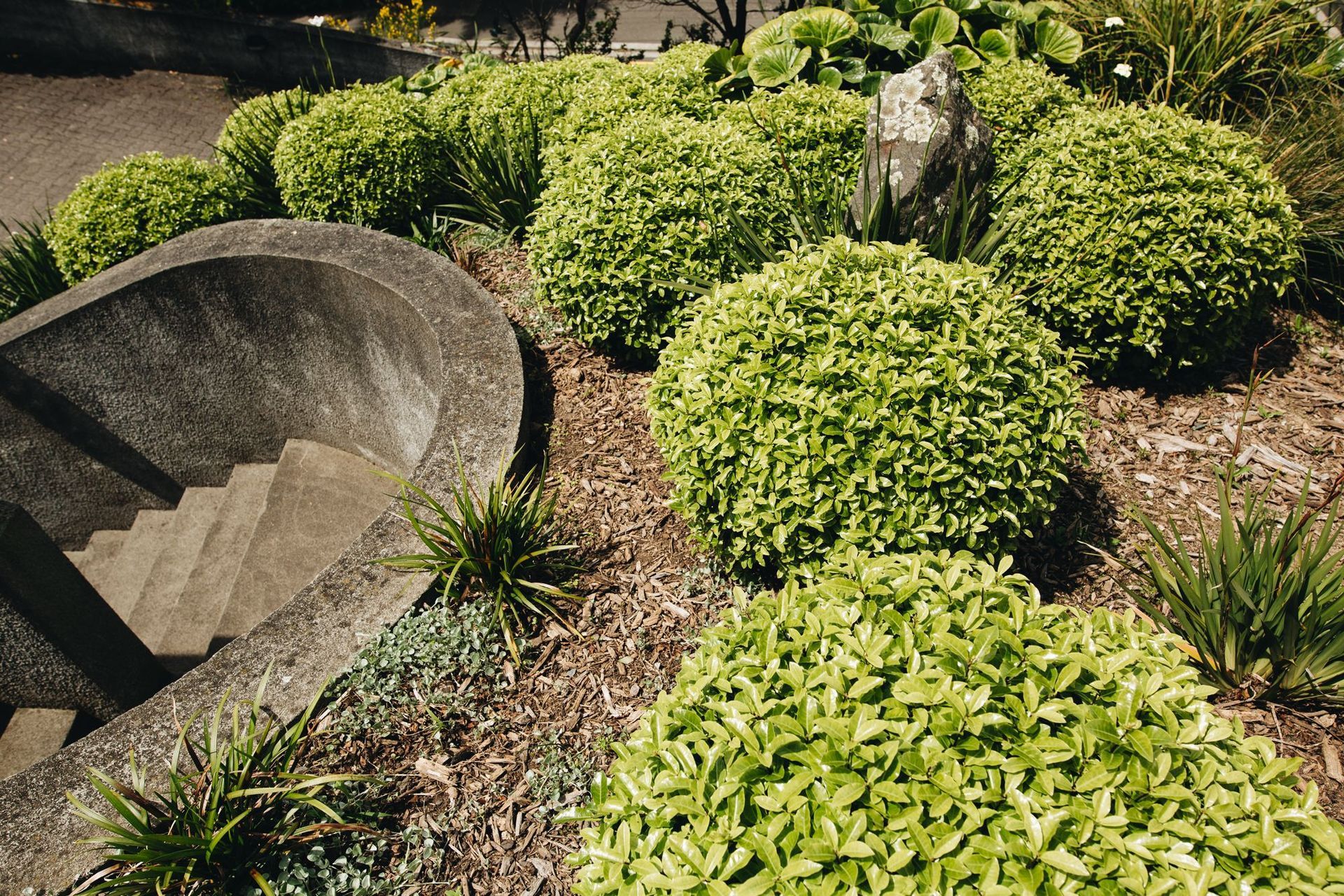 Wellington Hillside Garden