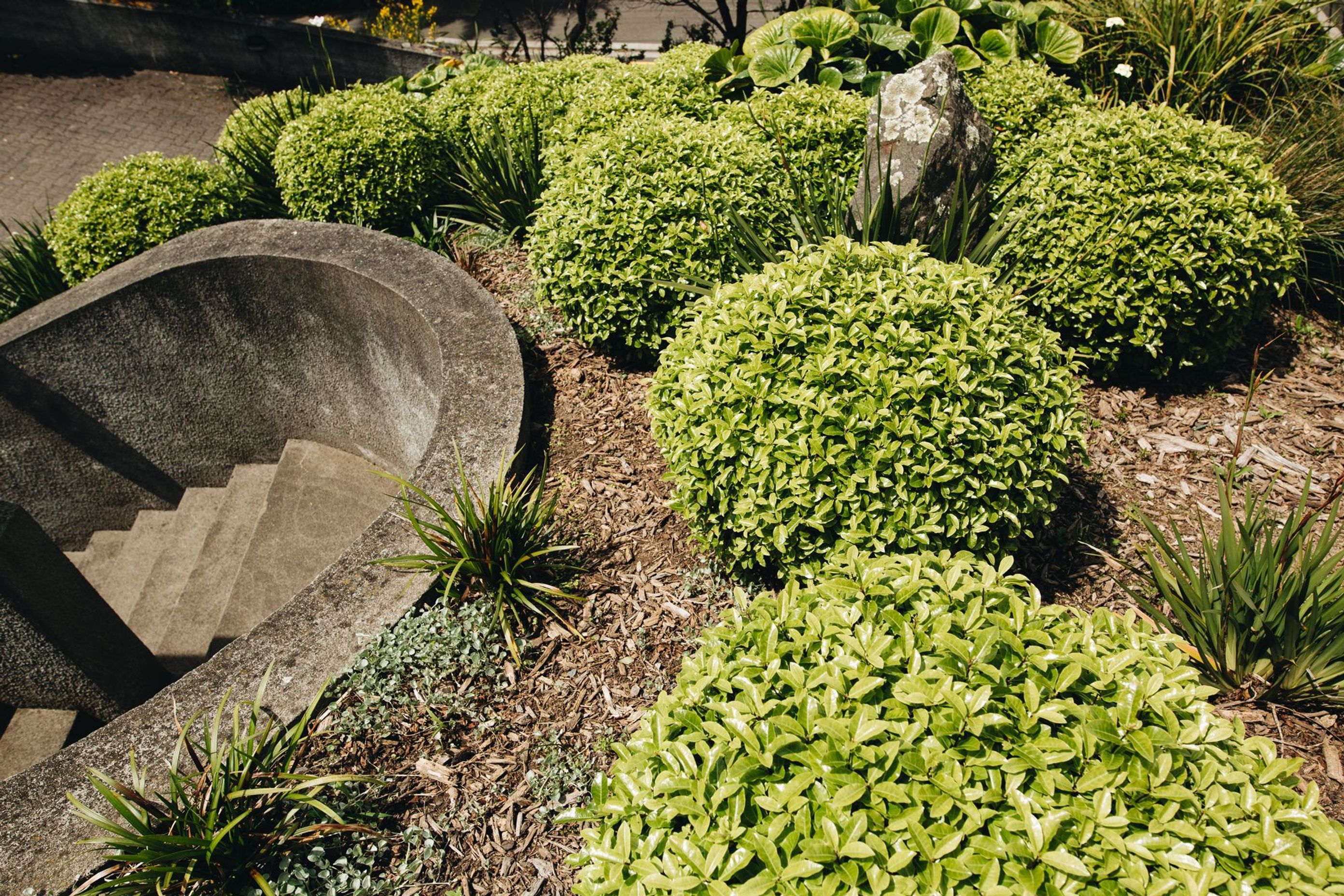 Wellington Hillside Garden