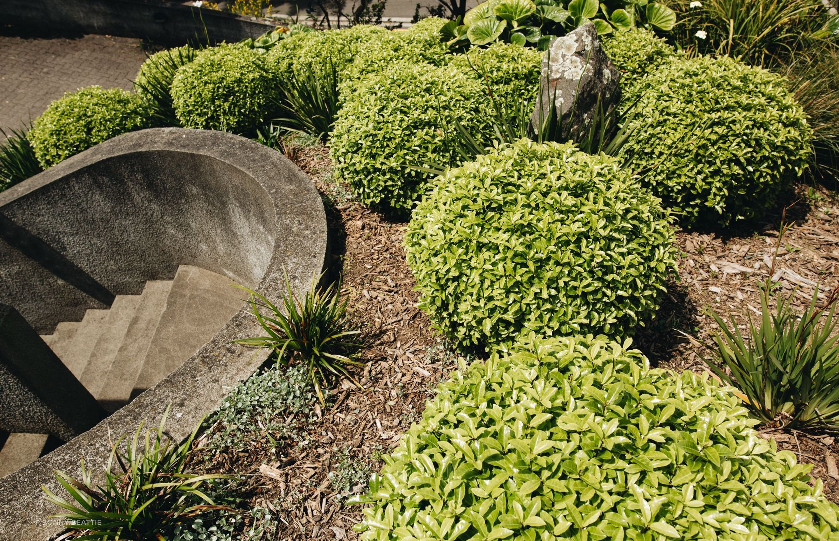 Wellington Hillside Garden