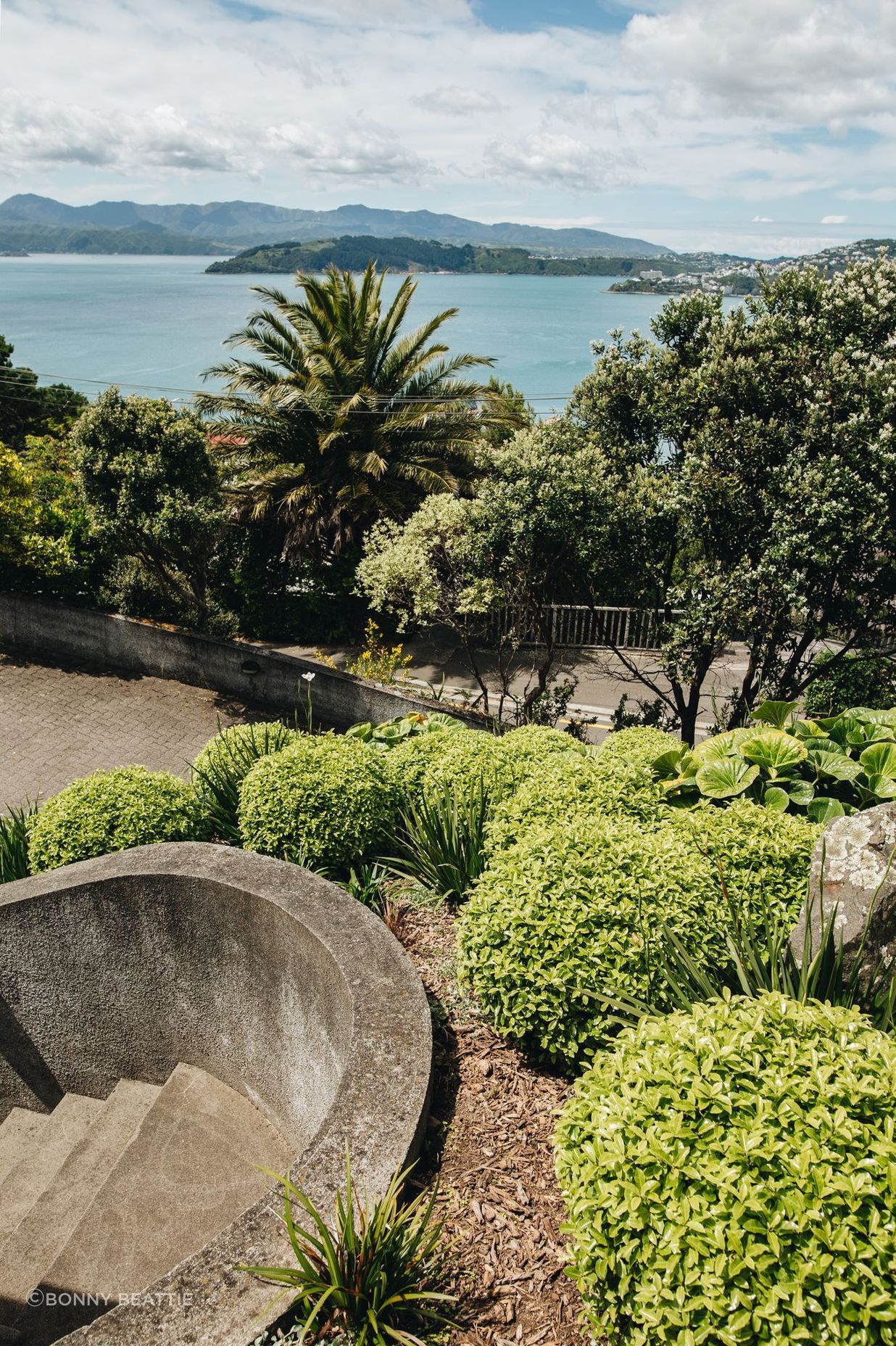 Wellington Hillside Garden