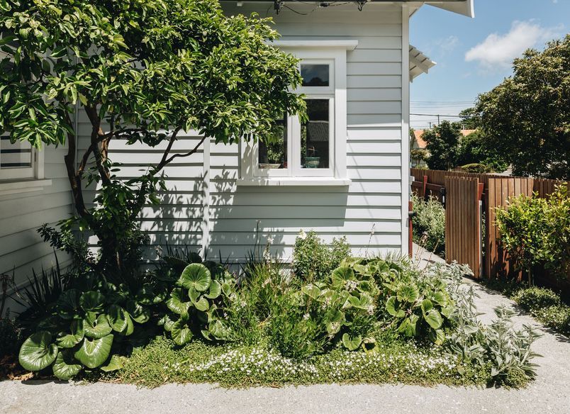 Hataitai Coastal Garden