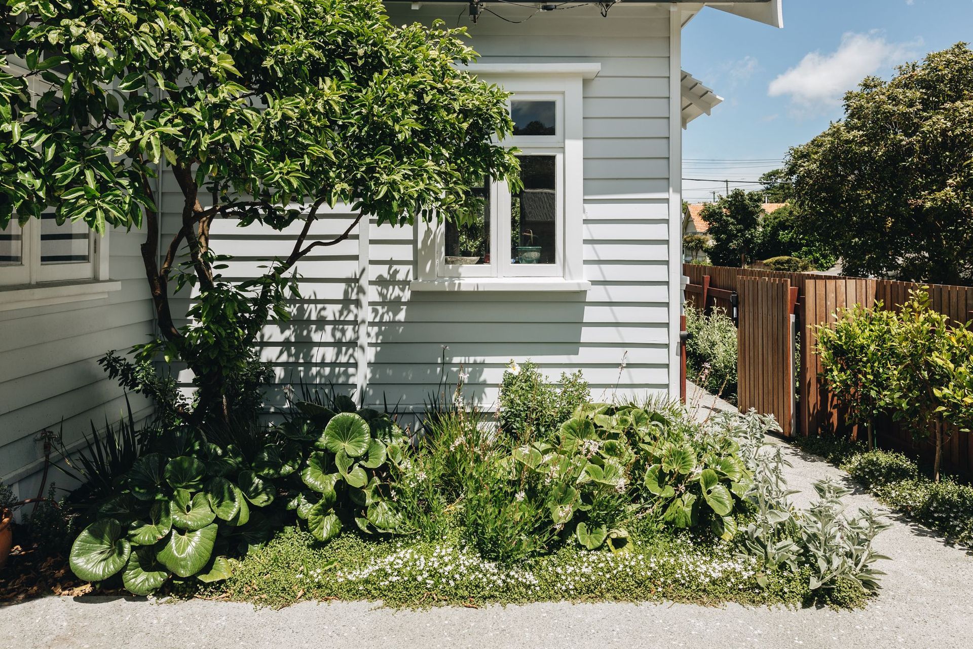 Hataitai Coastal Garden