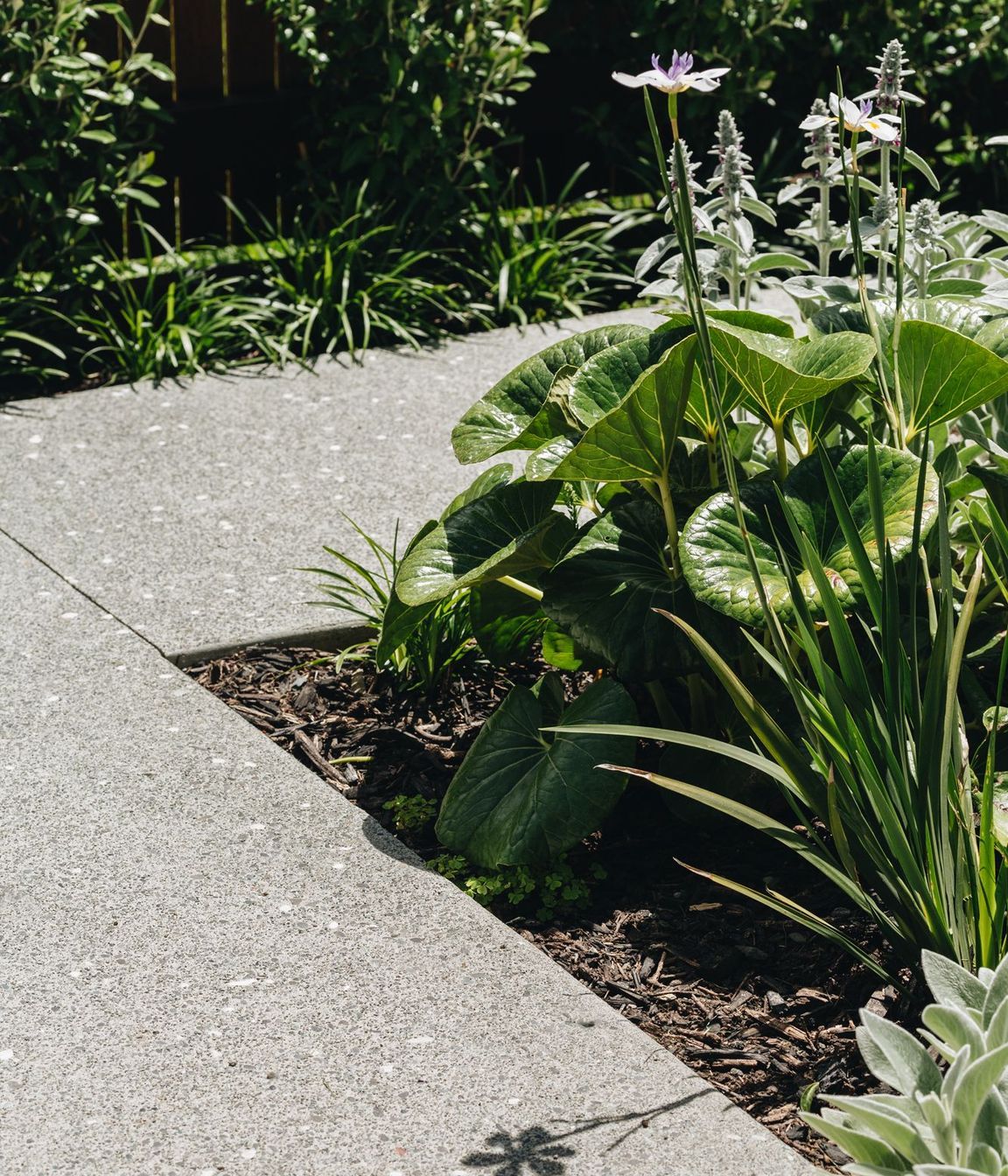 Hataitai Coastal Garden
