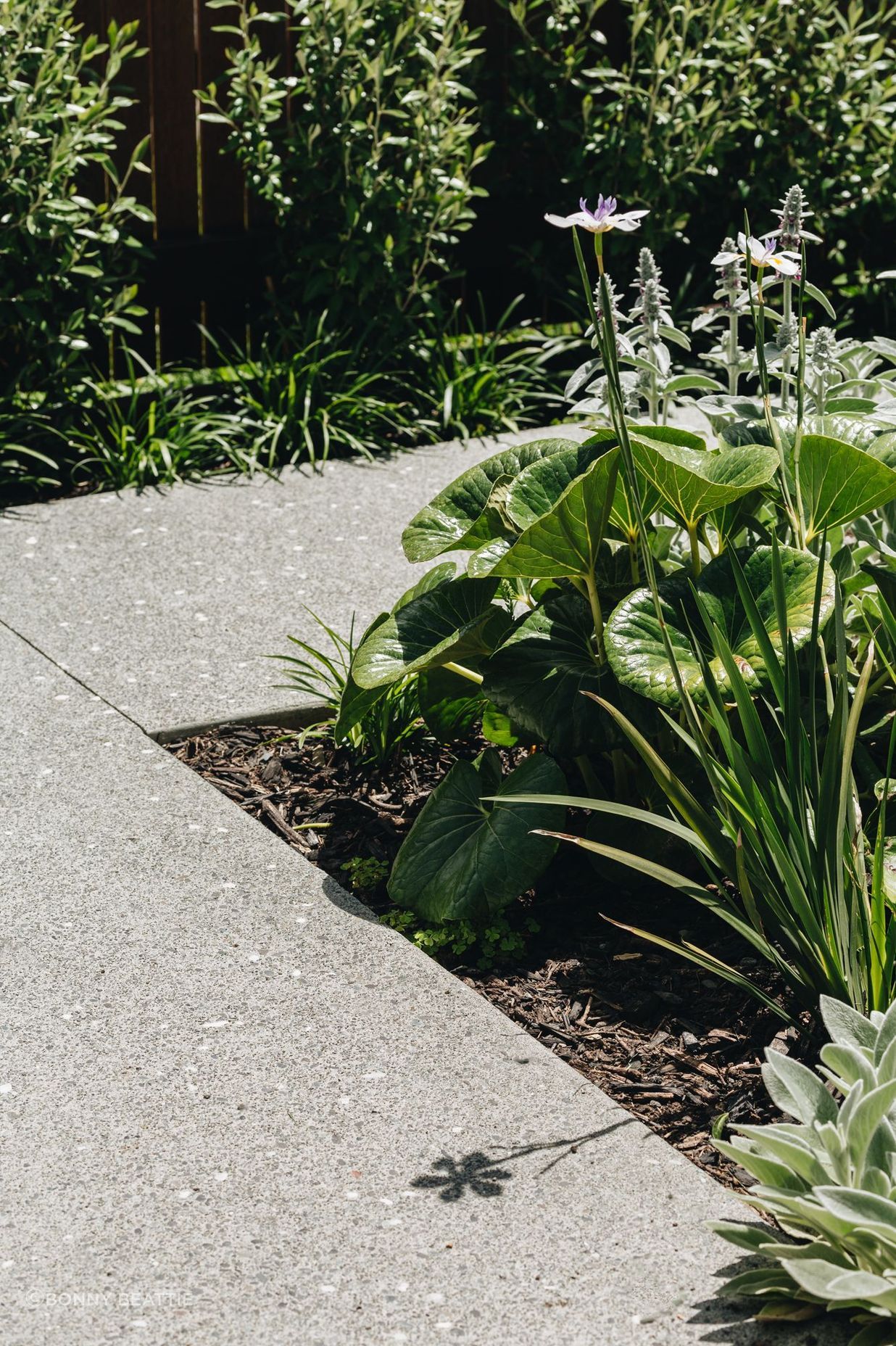 Hataitai Coastal Garden