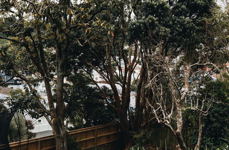 HATAITAI | Terraces