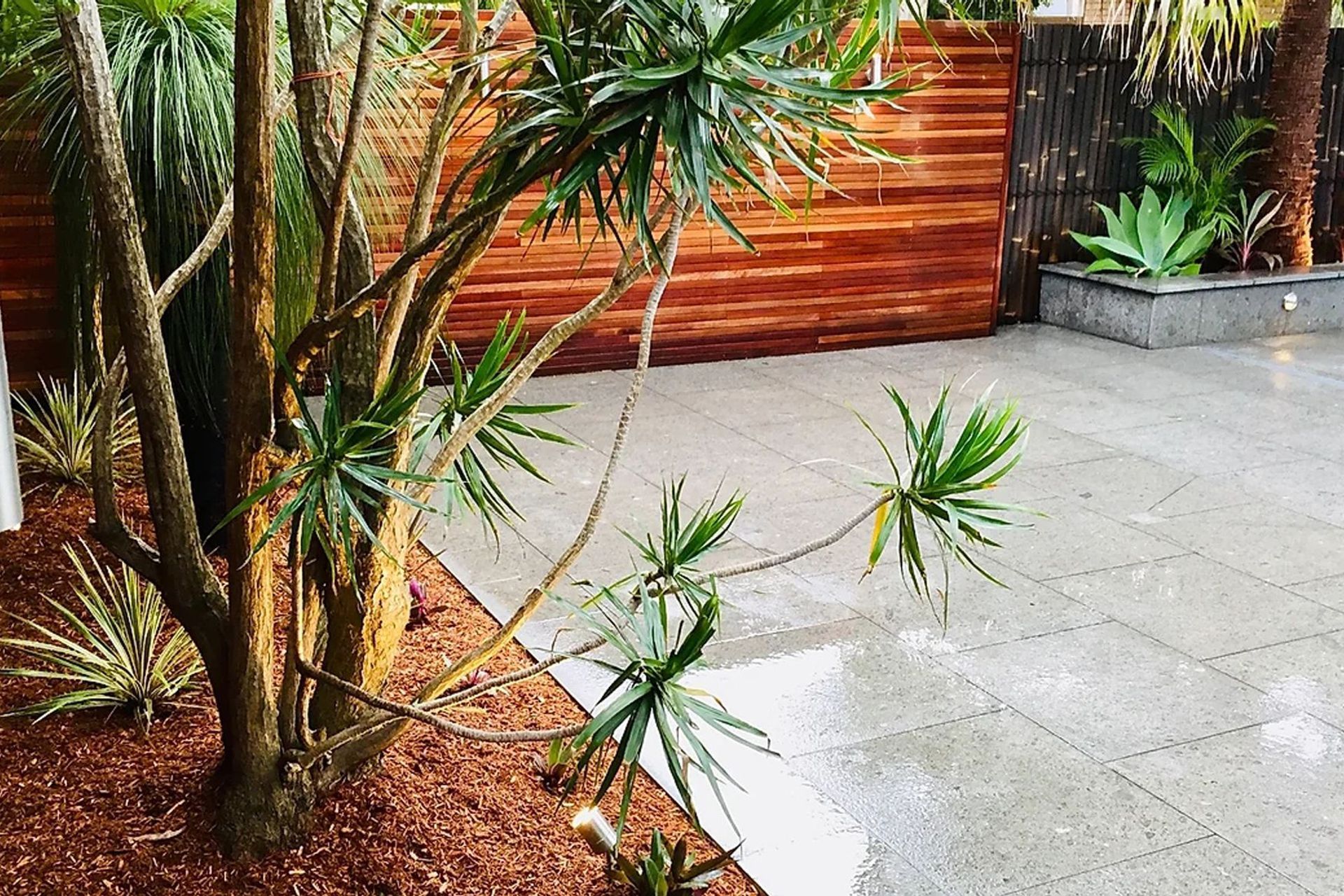 WALL LIGHT BLUE STONE PAVING