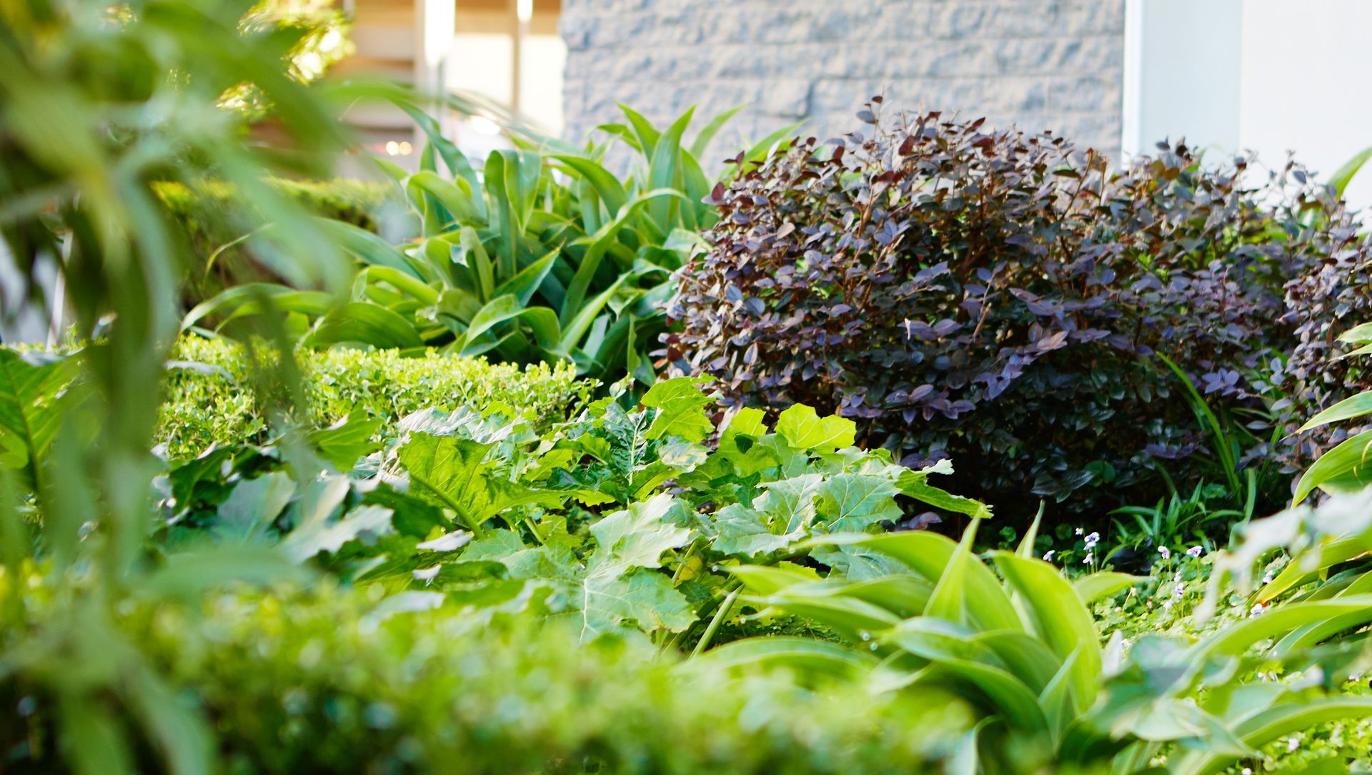 Wollstonecraft Apartments banner