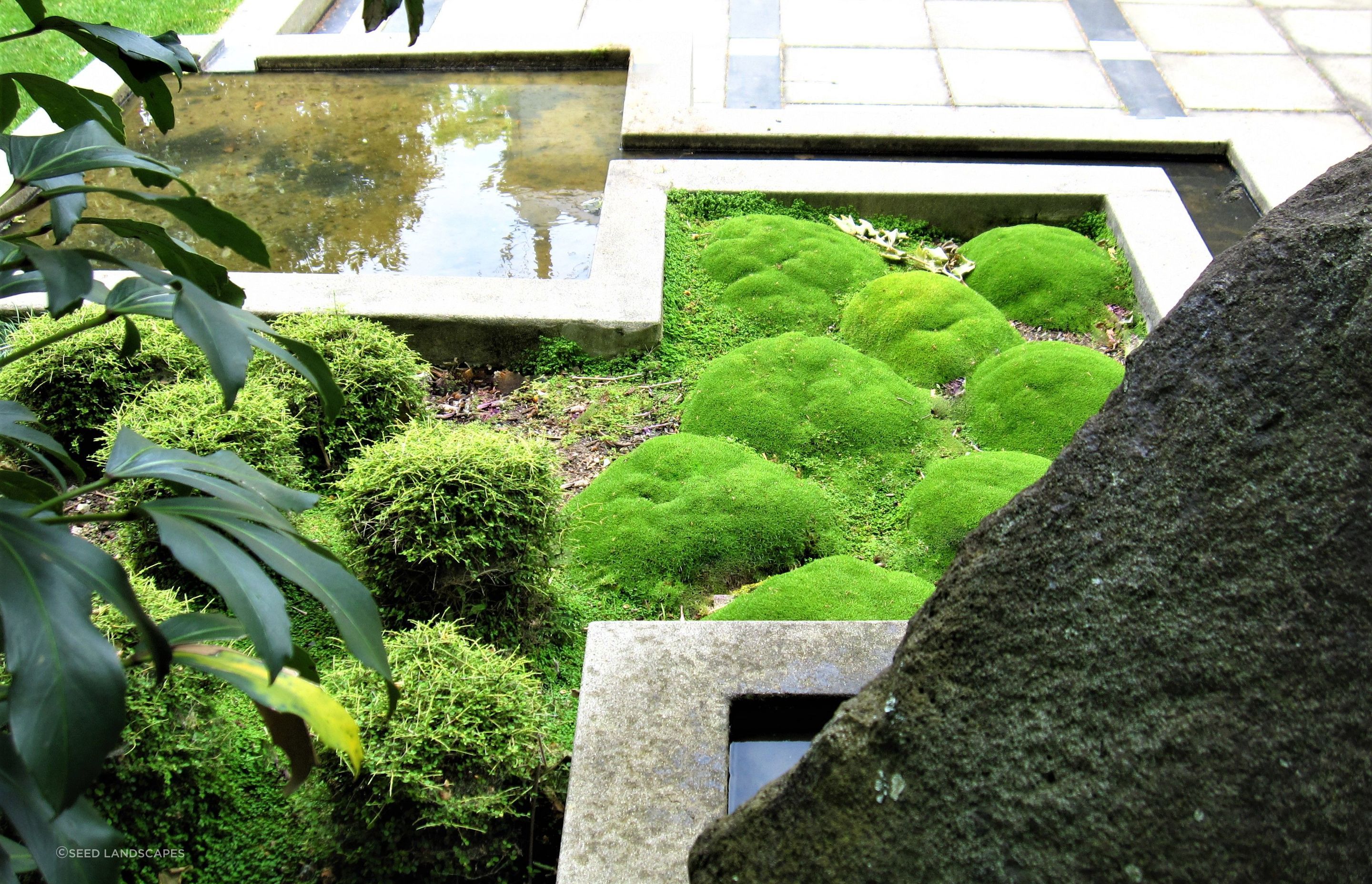Ponsonby Garden