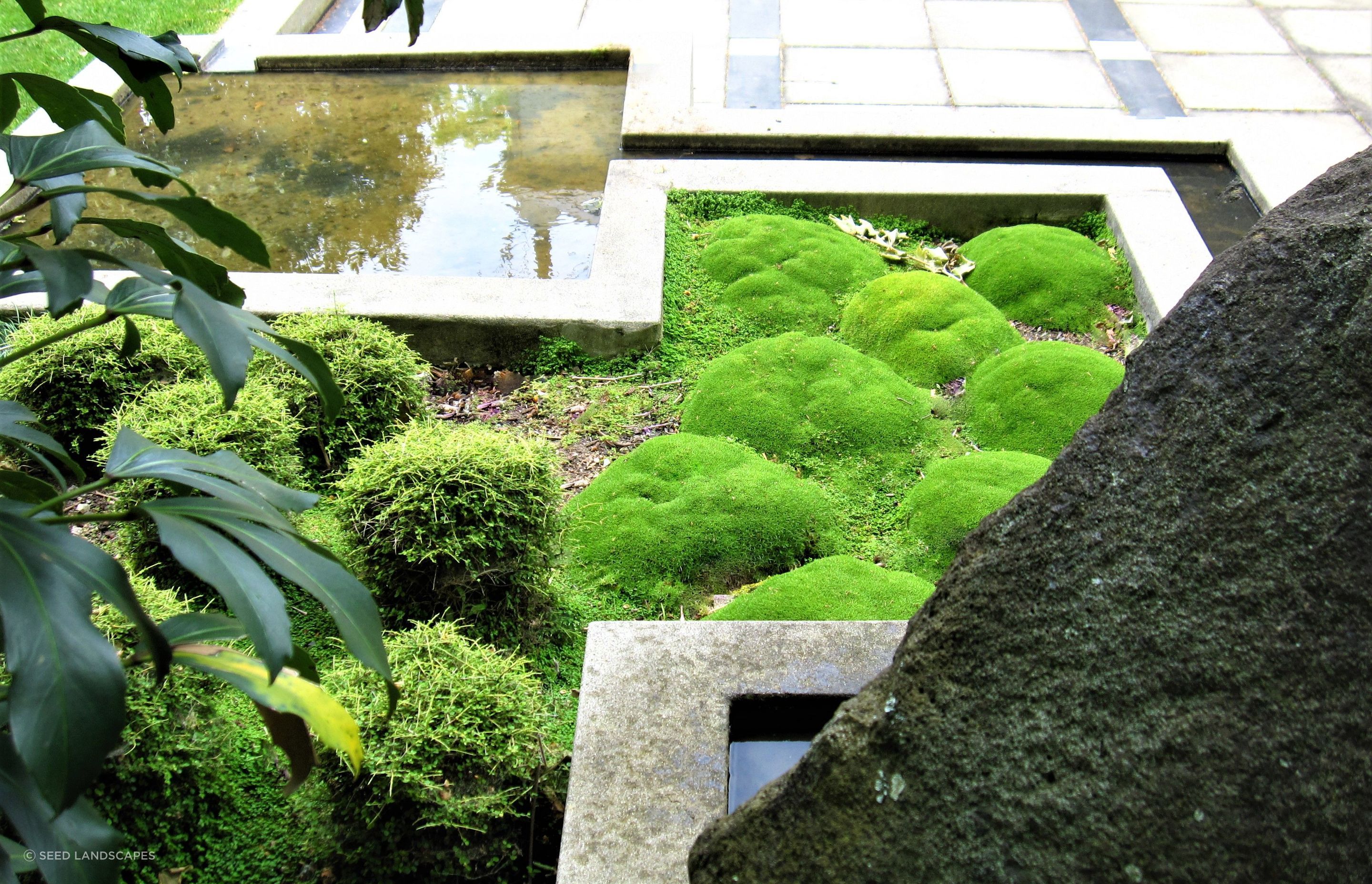Ponsonby Garden
