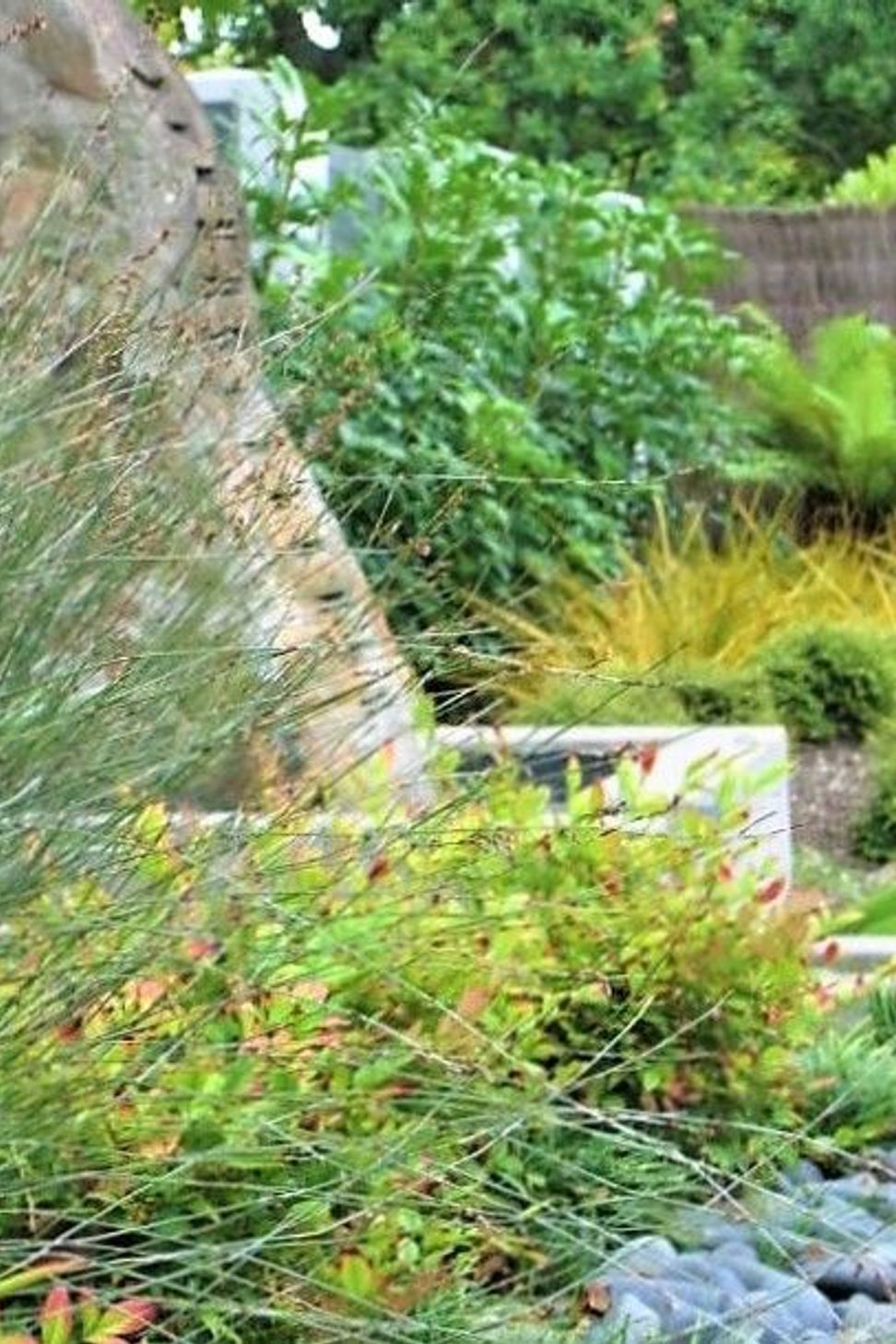 Ponsonby Garden