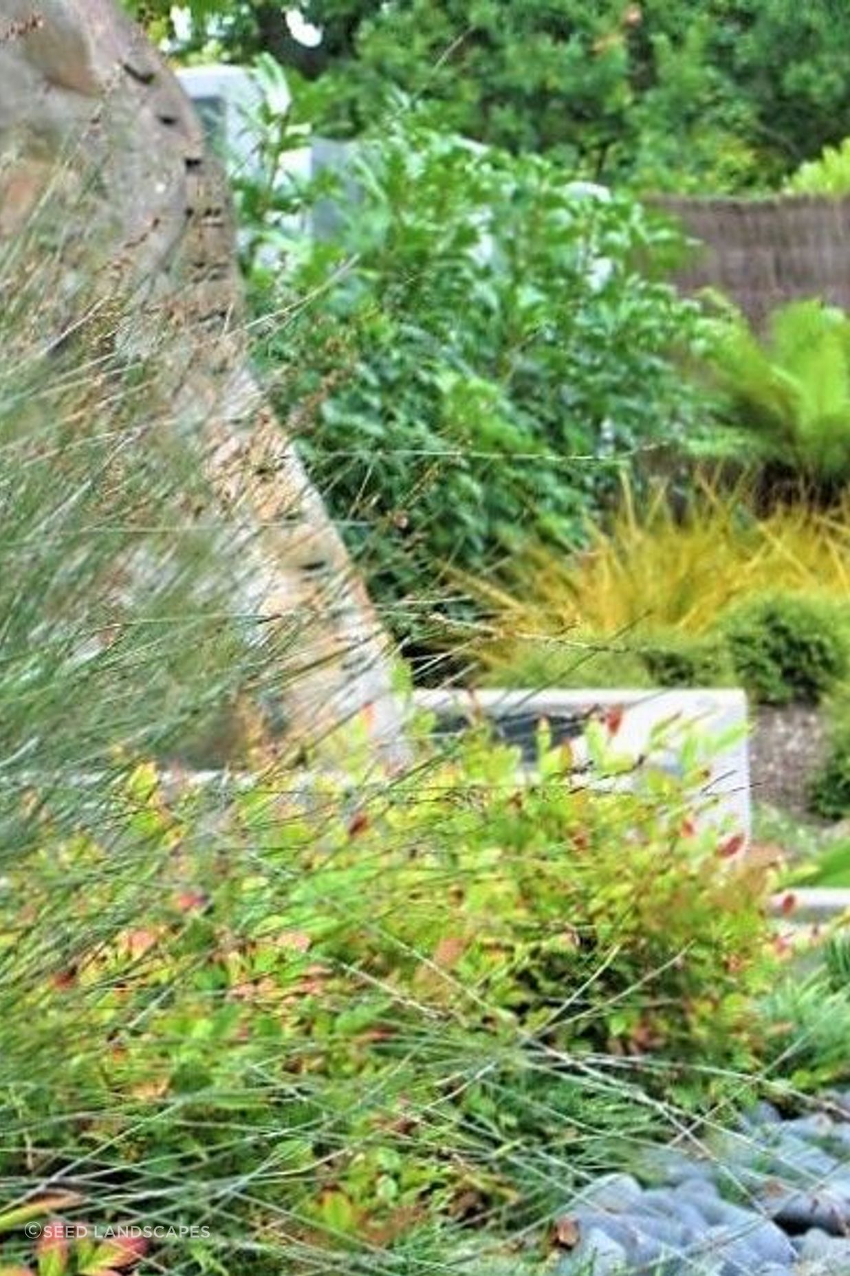 Ponsonby Garden
