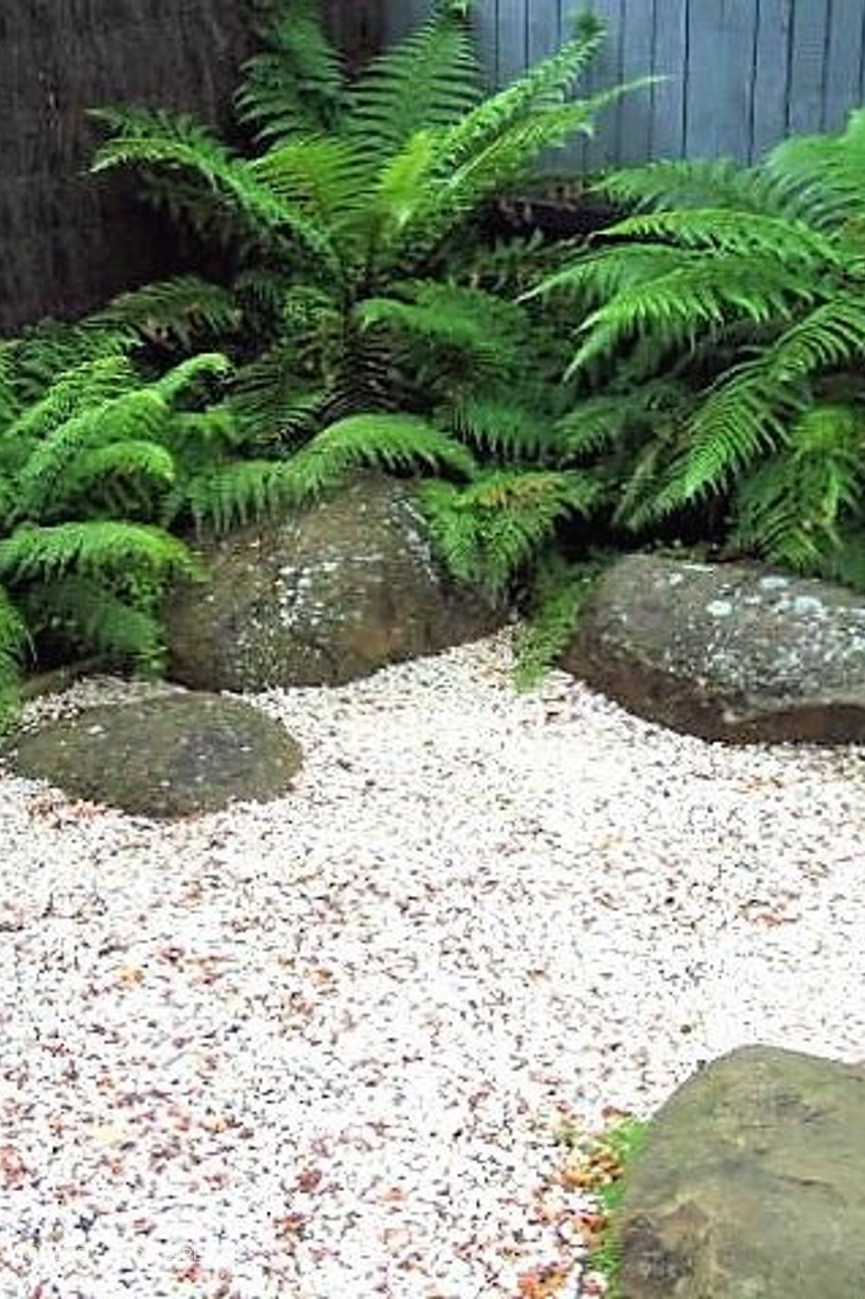 Ponsonby Garden