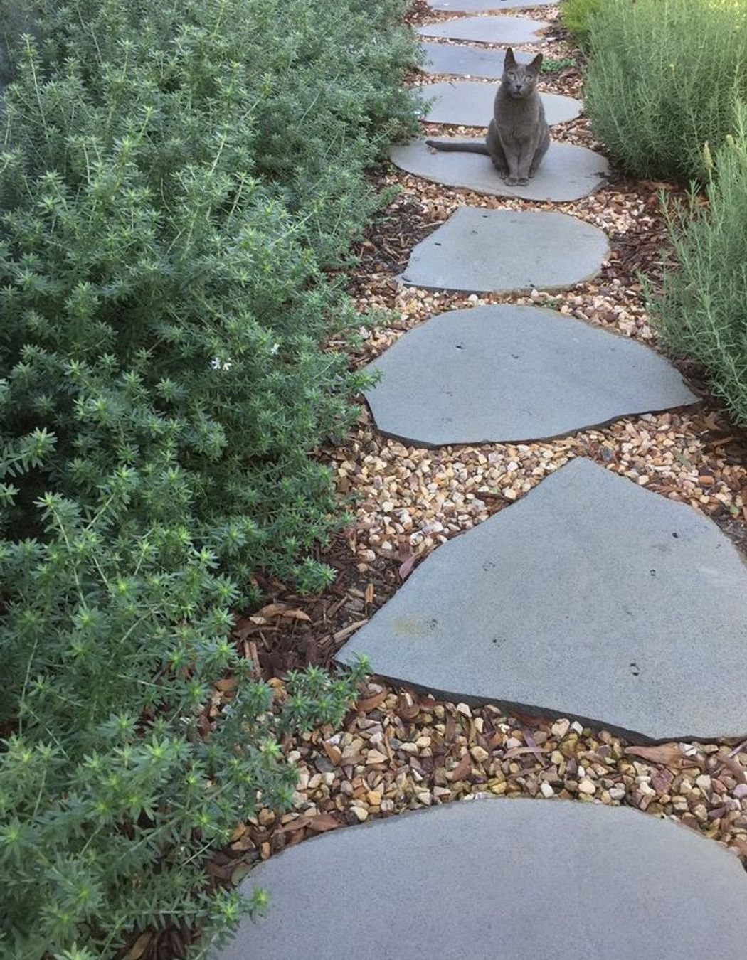 Photography: Kelly Royle Landscape Architecture