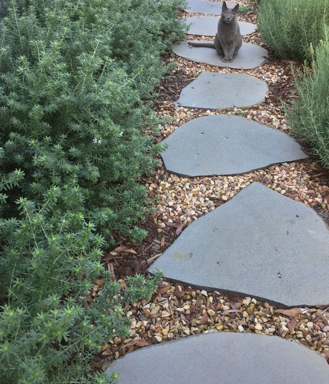 Photography: Kelly Royle Landscape Architecture