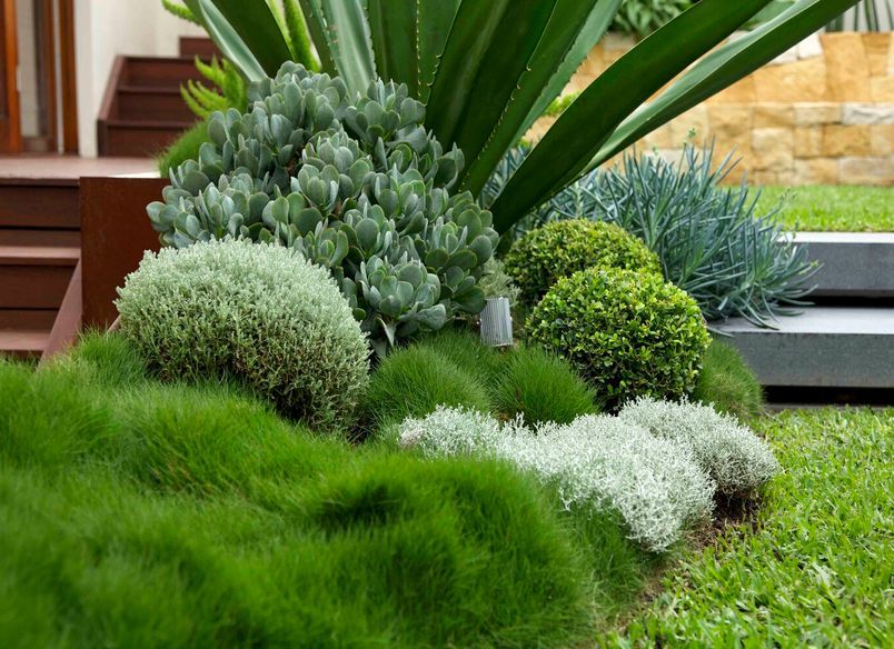 Family Garden