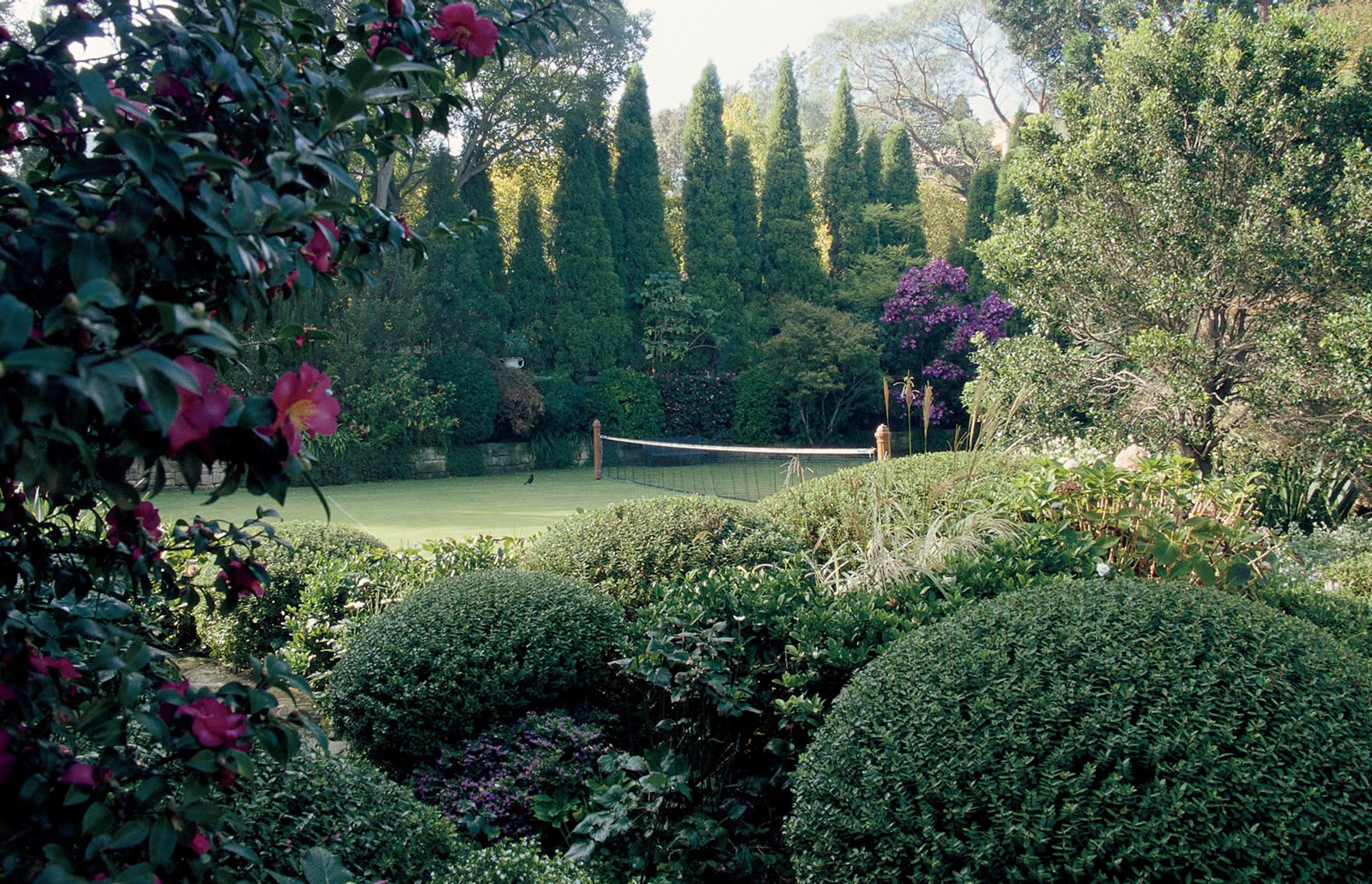 Bellevue Hill - 3