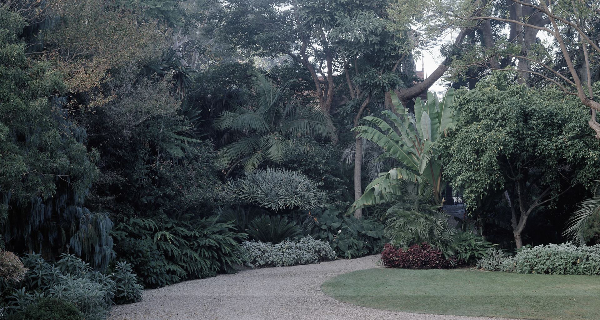Bellevue Hill - 3 banner