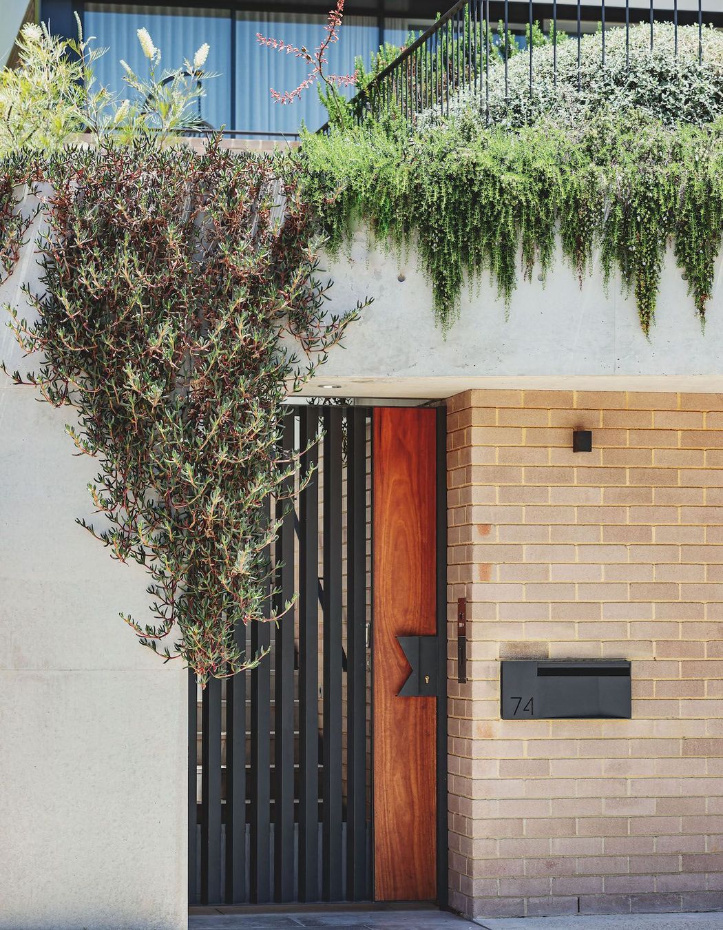 Bellevue Hill