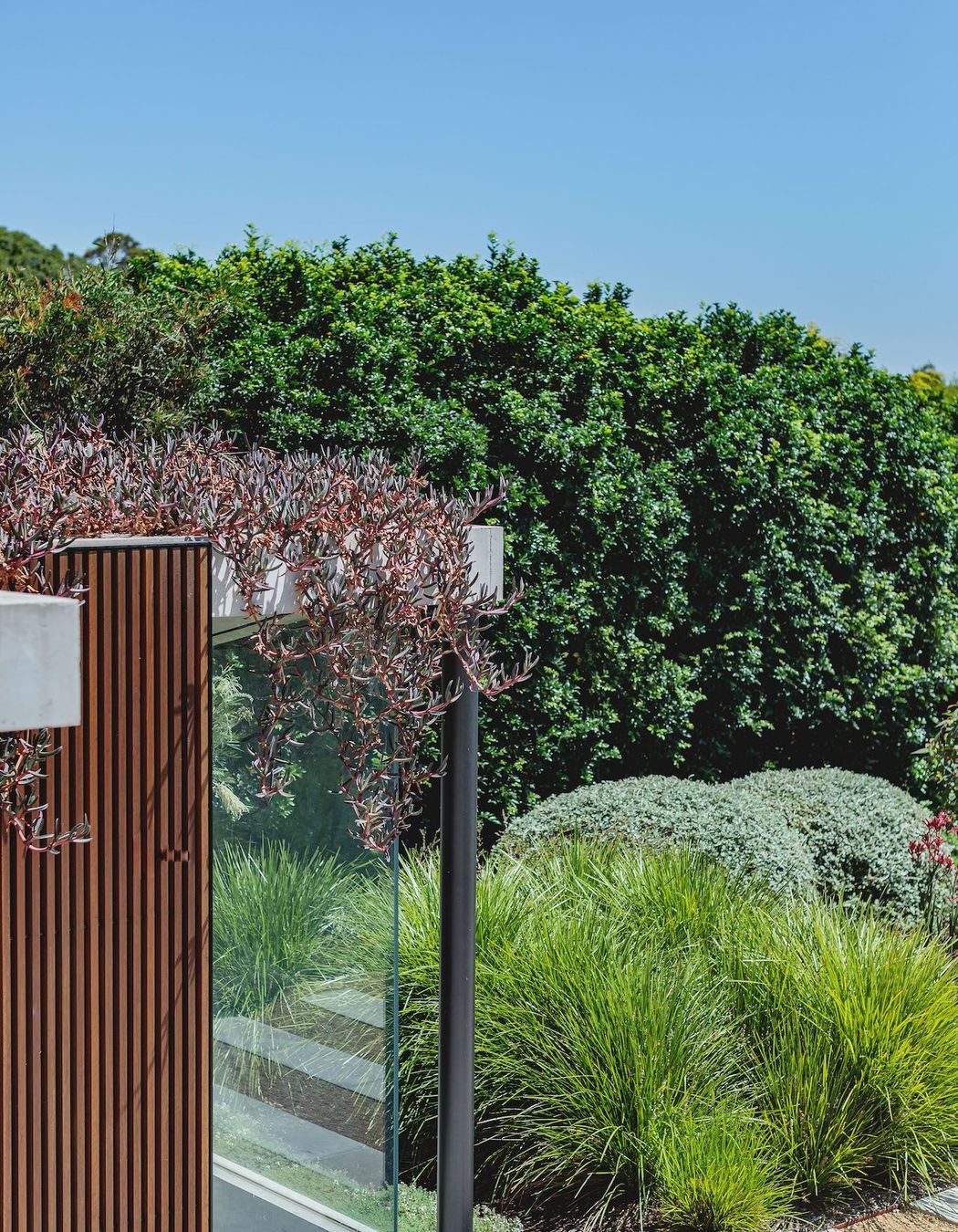 Bellevue Hill