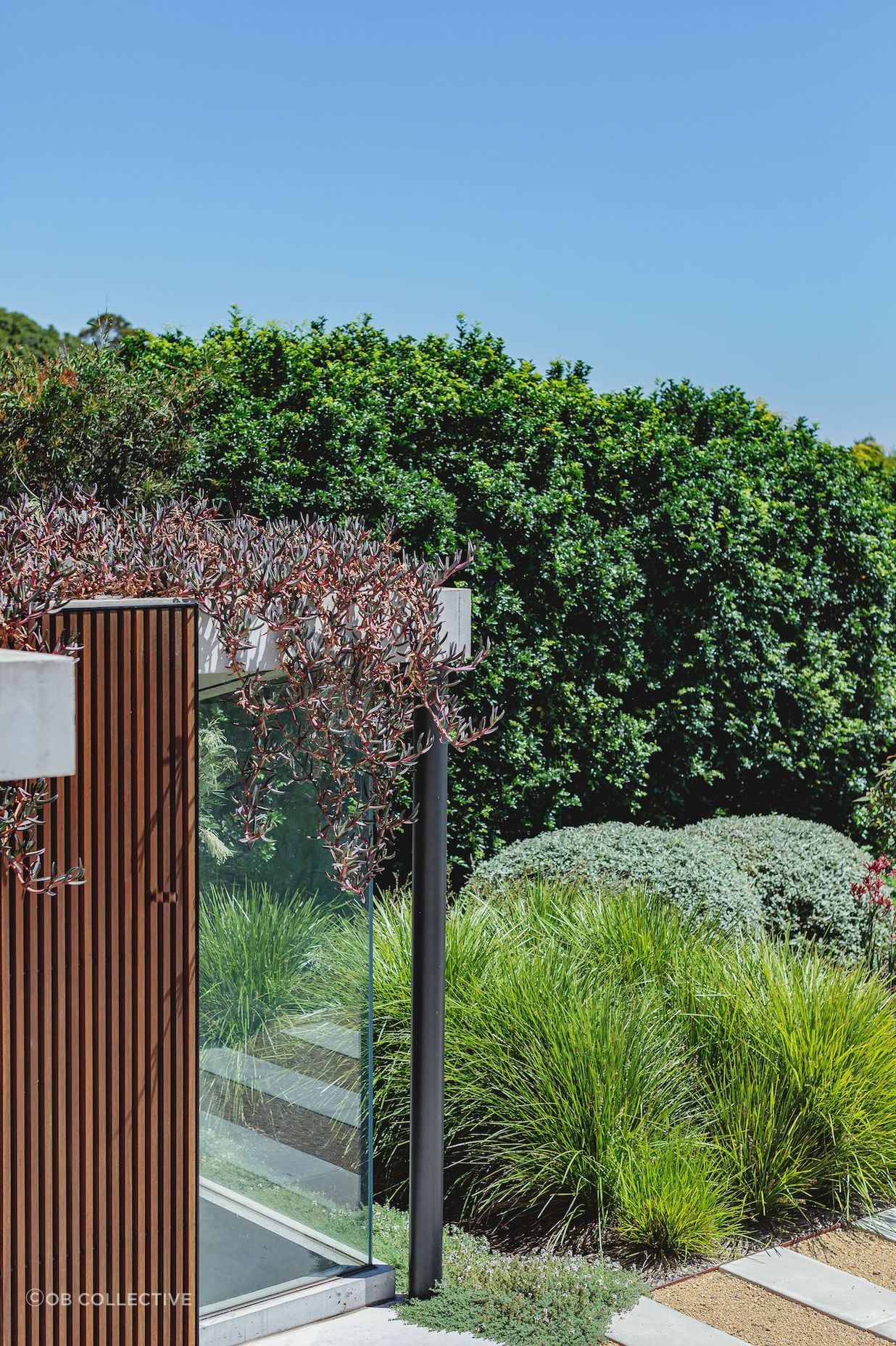 Bellevue Hill