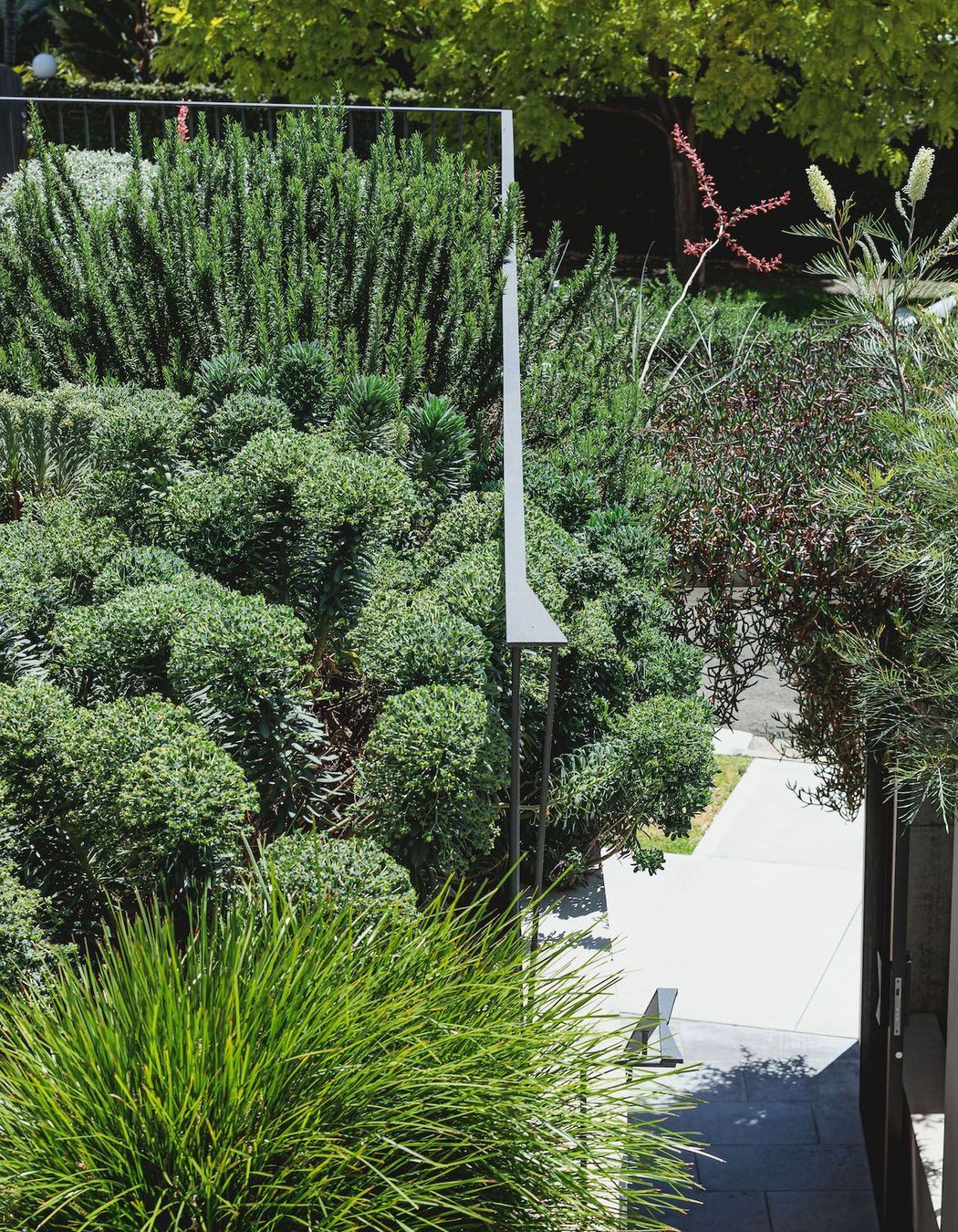 Bellevue Hill