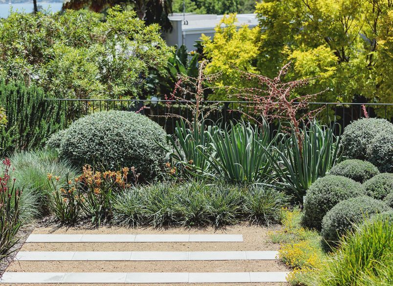 Bellevue Hill