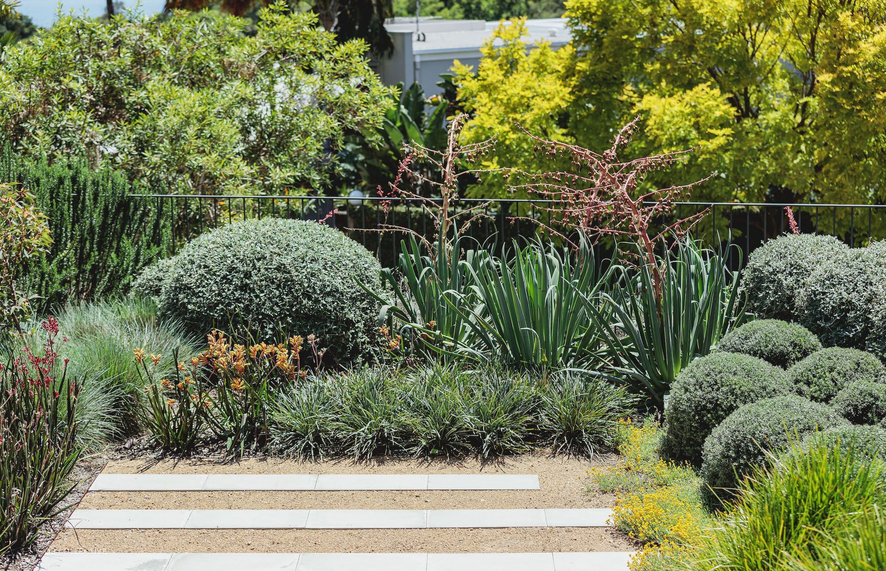Bellevue Hill