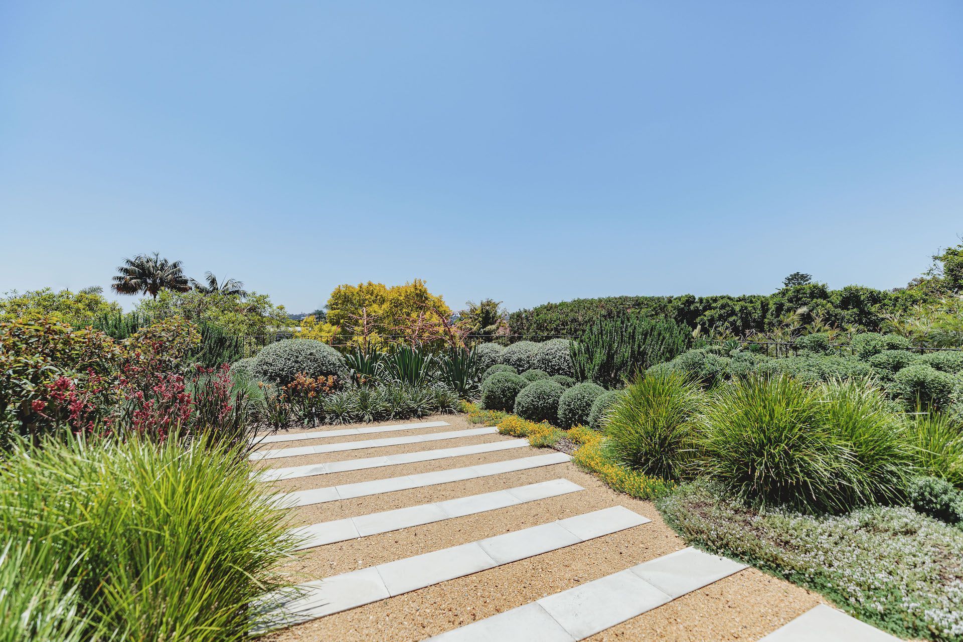 Bellevue Hill