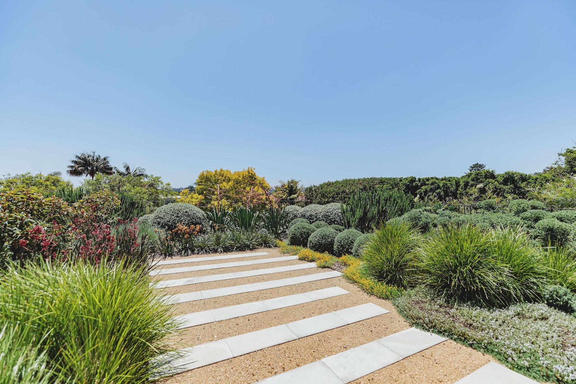 Bellevue Hill