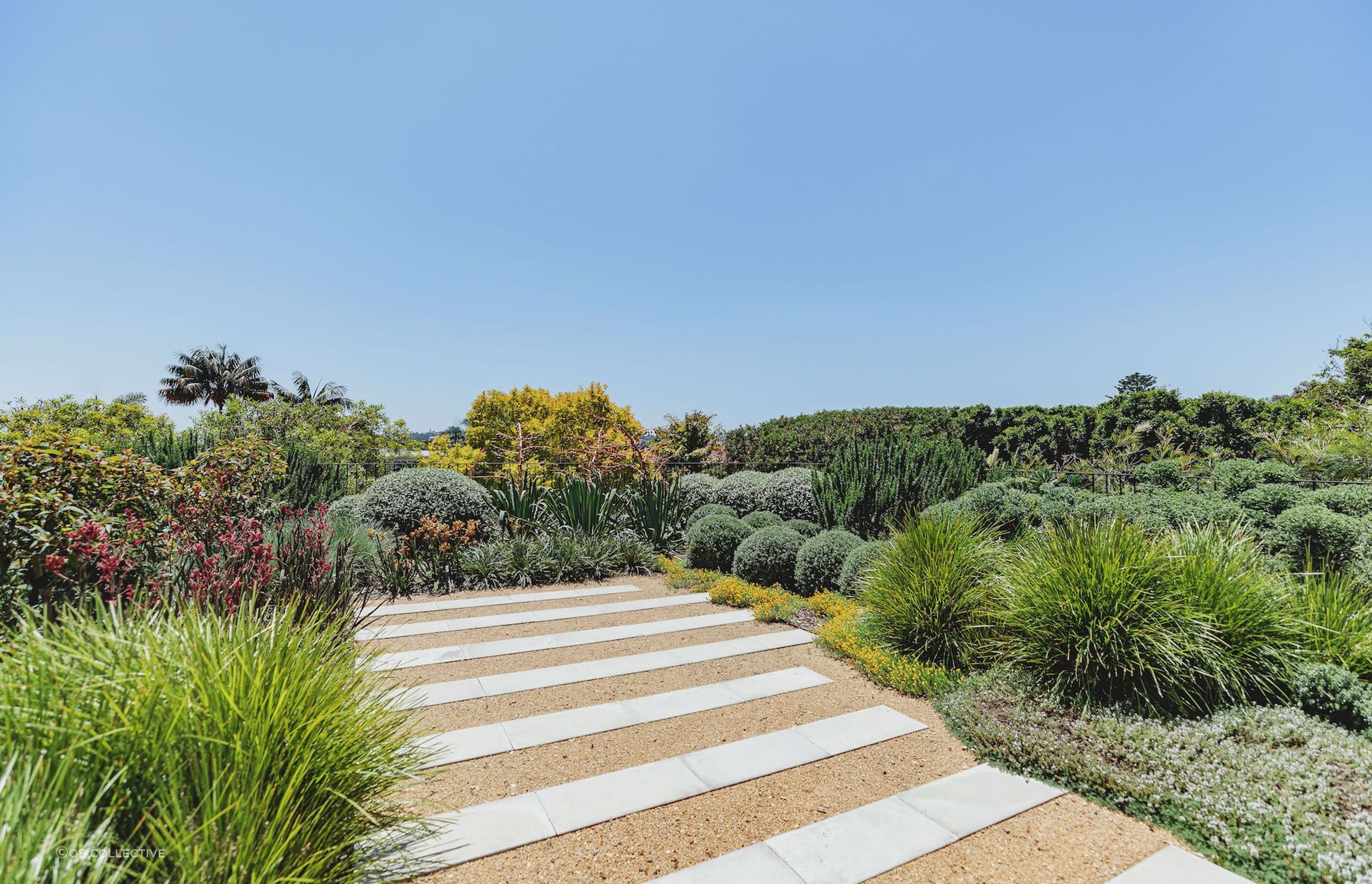 Bellevue Hill