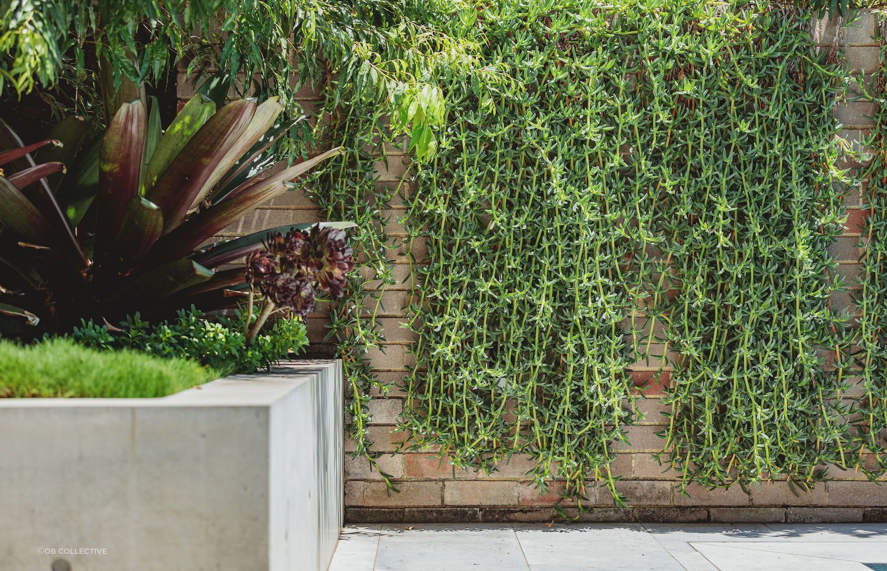 Bellevue Hill