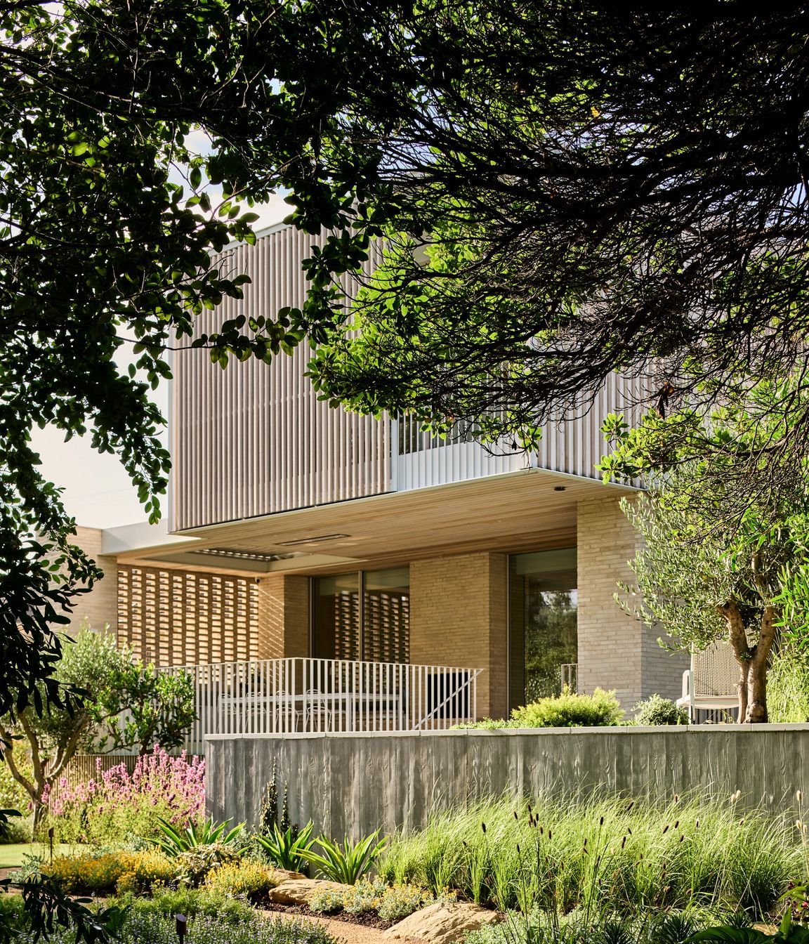 Board-Form-Veneer-Pool-Surround-Barwon-Heads.JPG