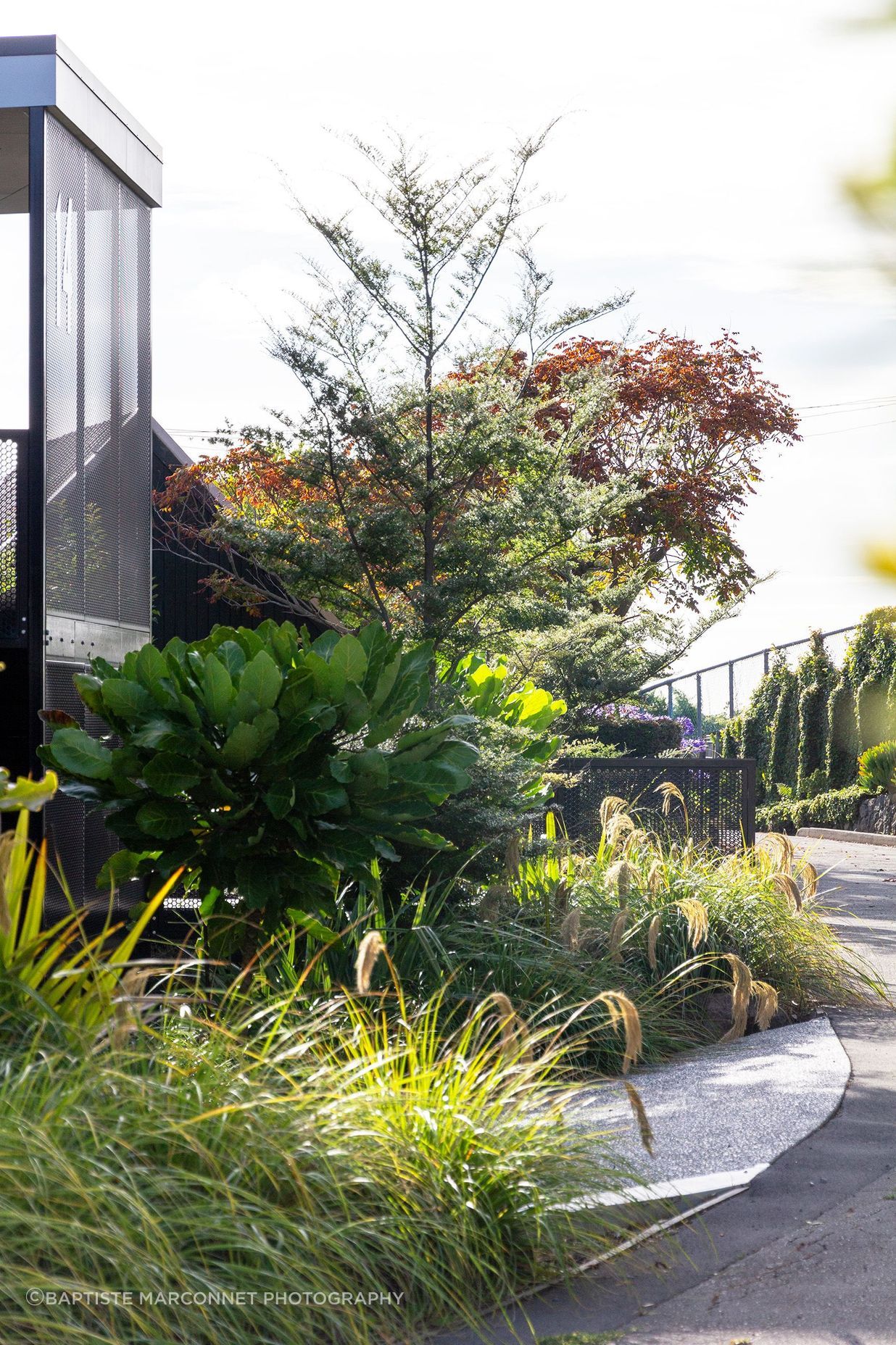 Botanic-104lr-v2.jpg