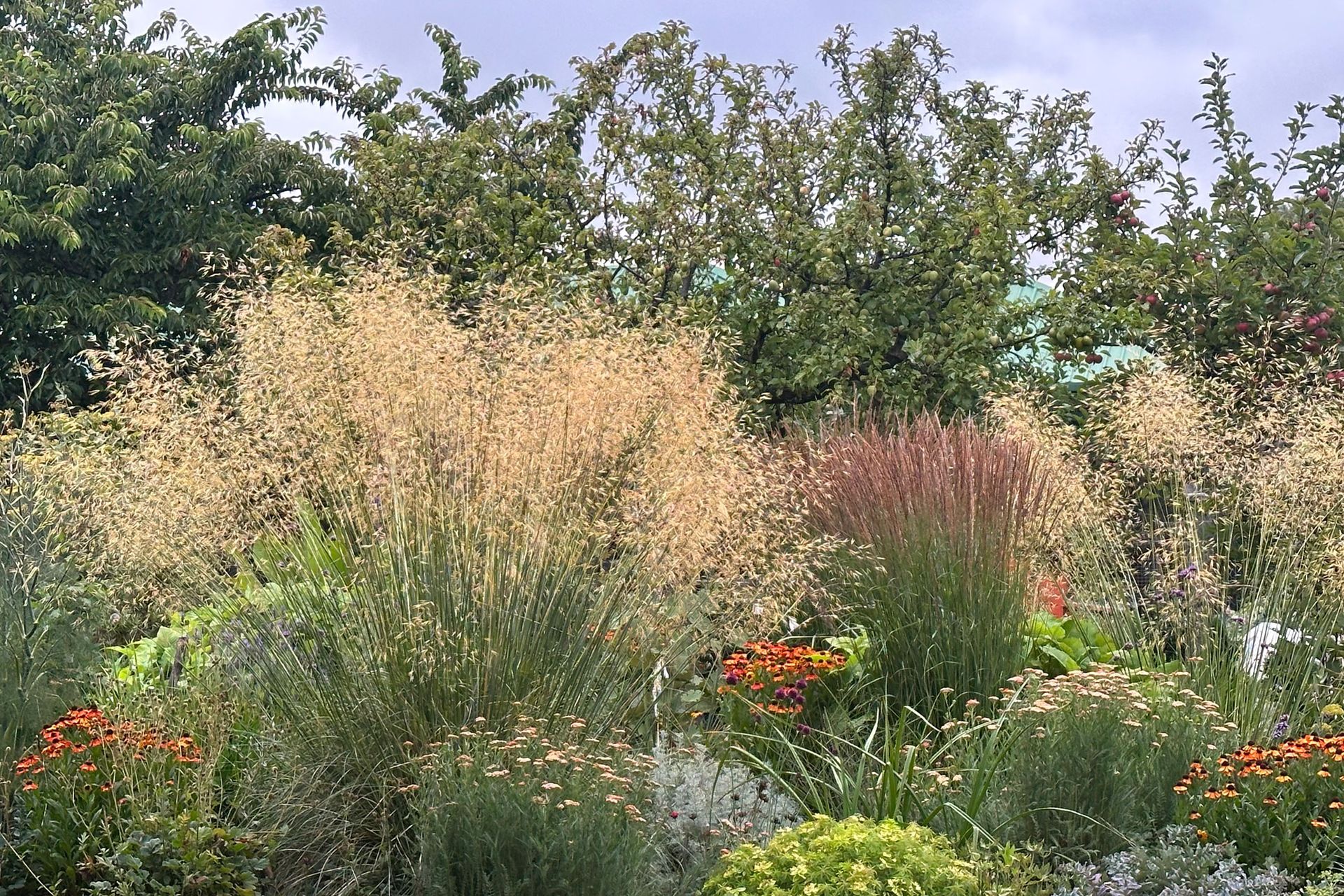 BotanicLandscape-ArchitectsDallington-Gardenplanting11.jpg