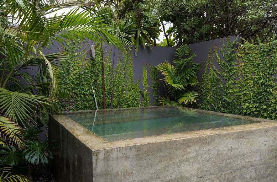 Grey Lynn Subtropical Residence