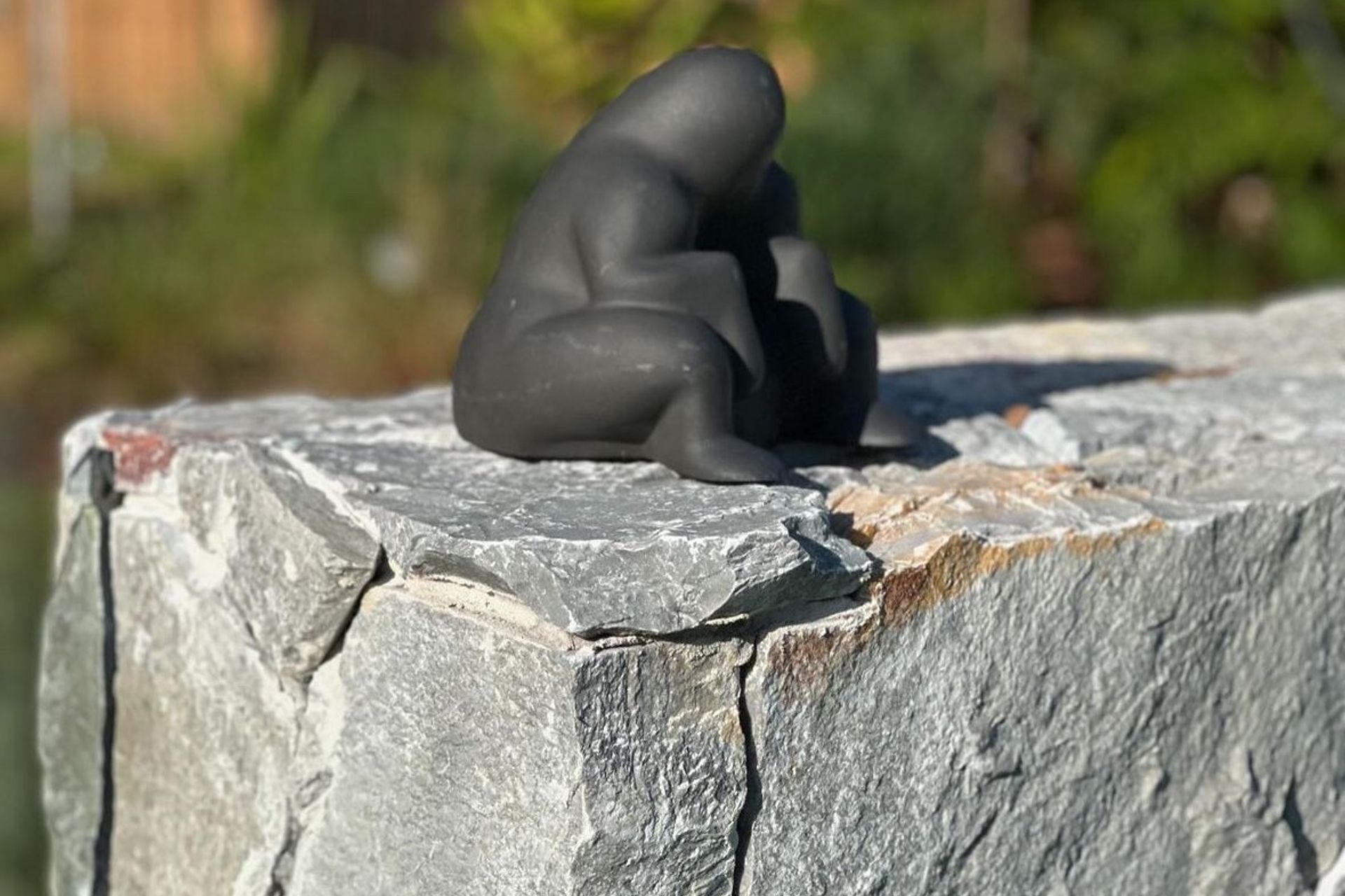 Hotham Wall Cladding | Branch Out Landscapes | Outdoor Residential | Crystal Pools