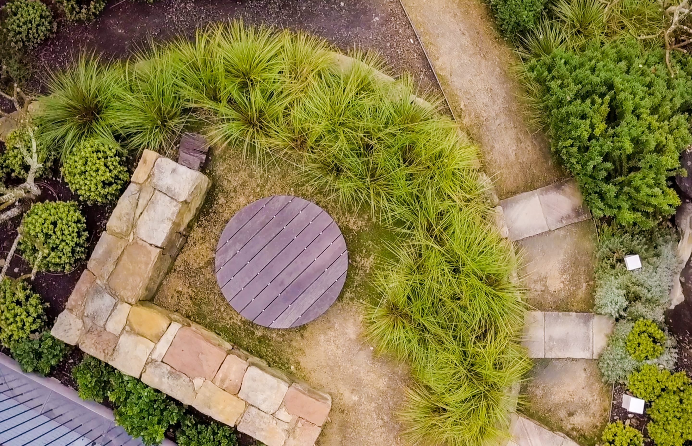 Modern Coastal Garden
