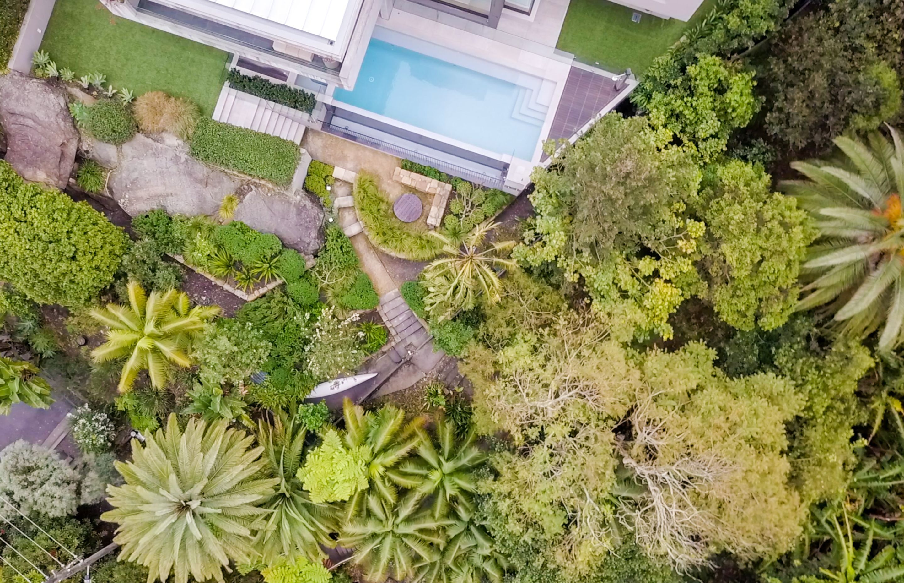 Modern Coastal Garden