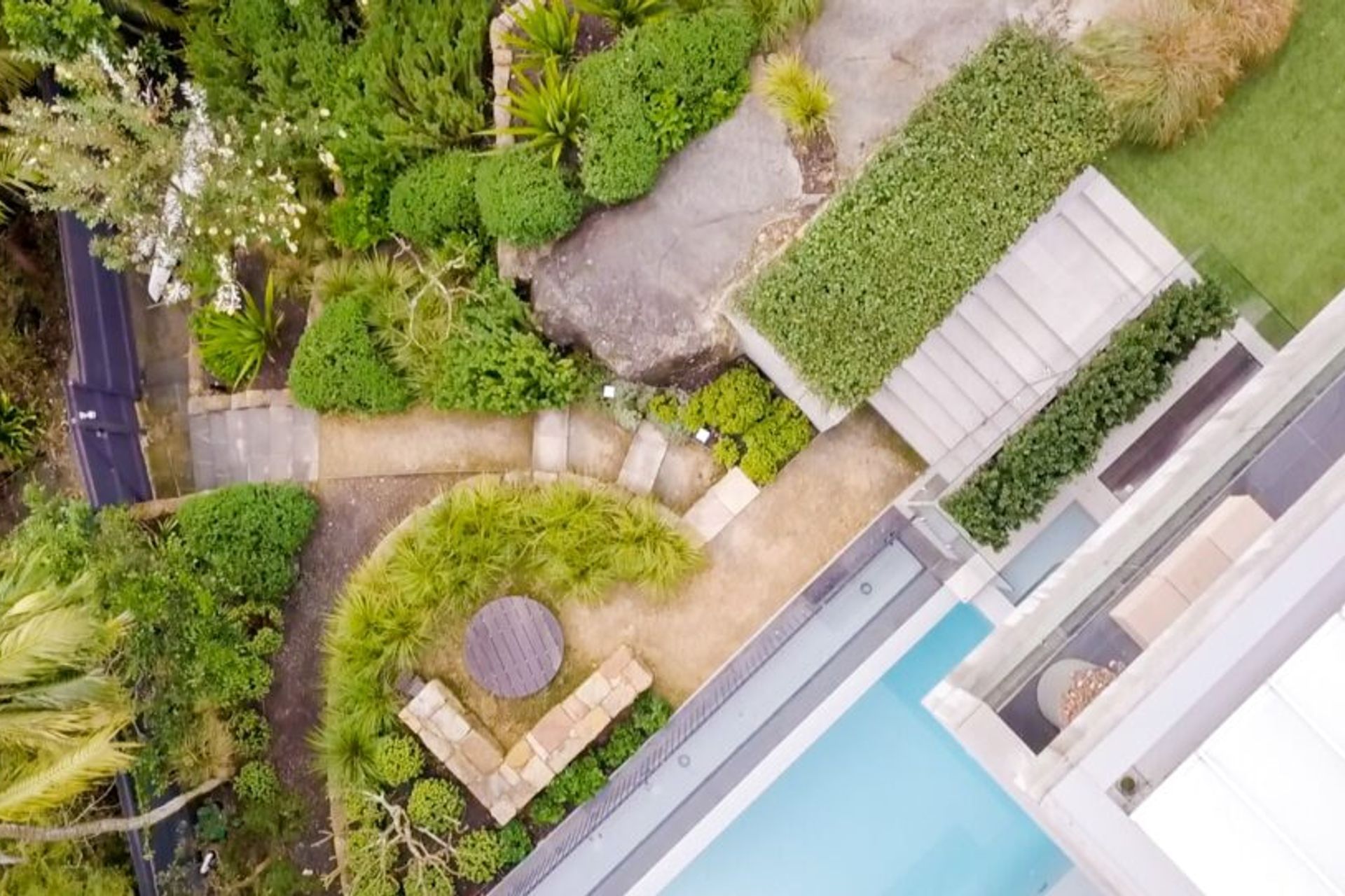 Modern Coastal Garden