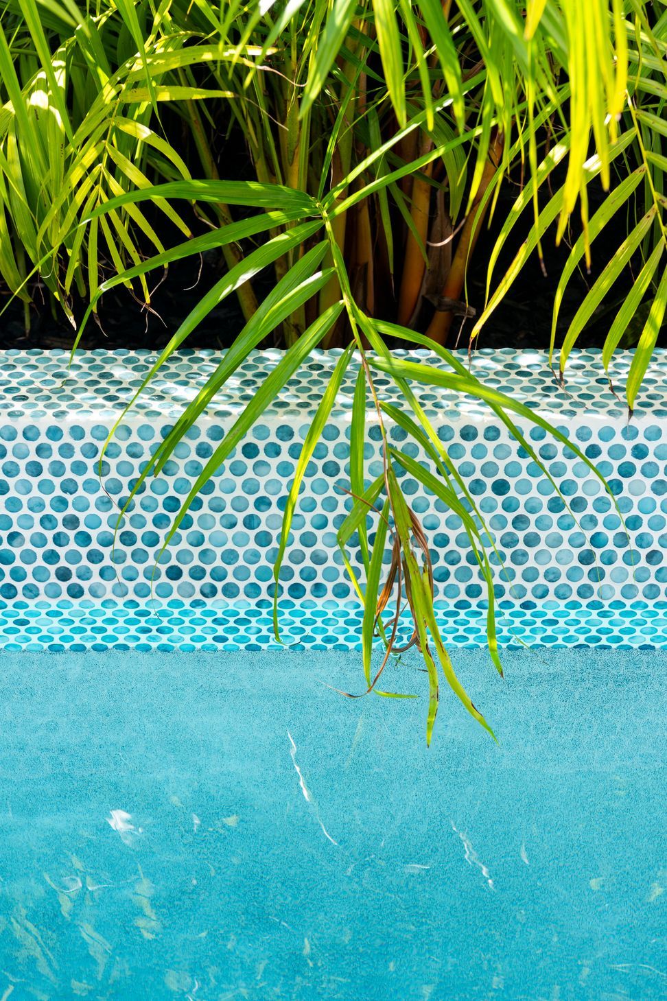 Westmere Lap Pool